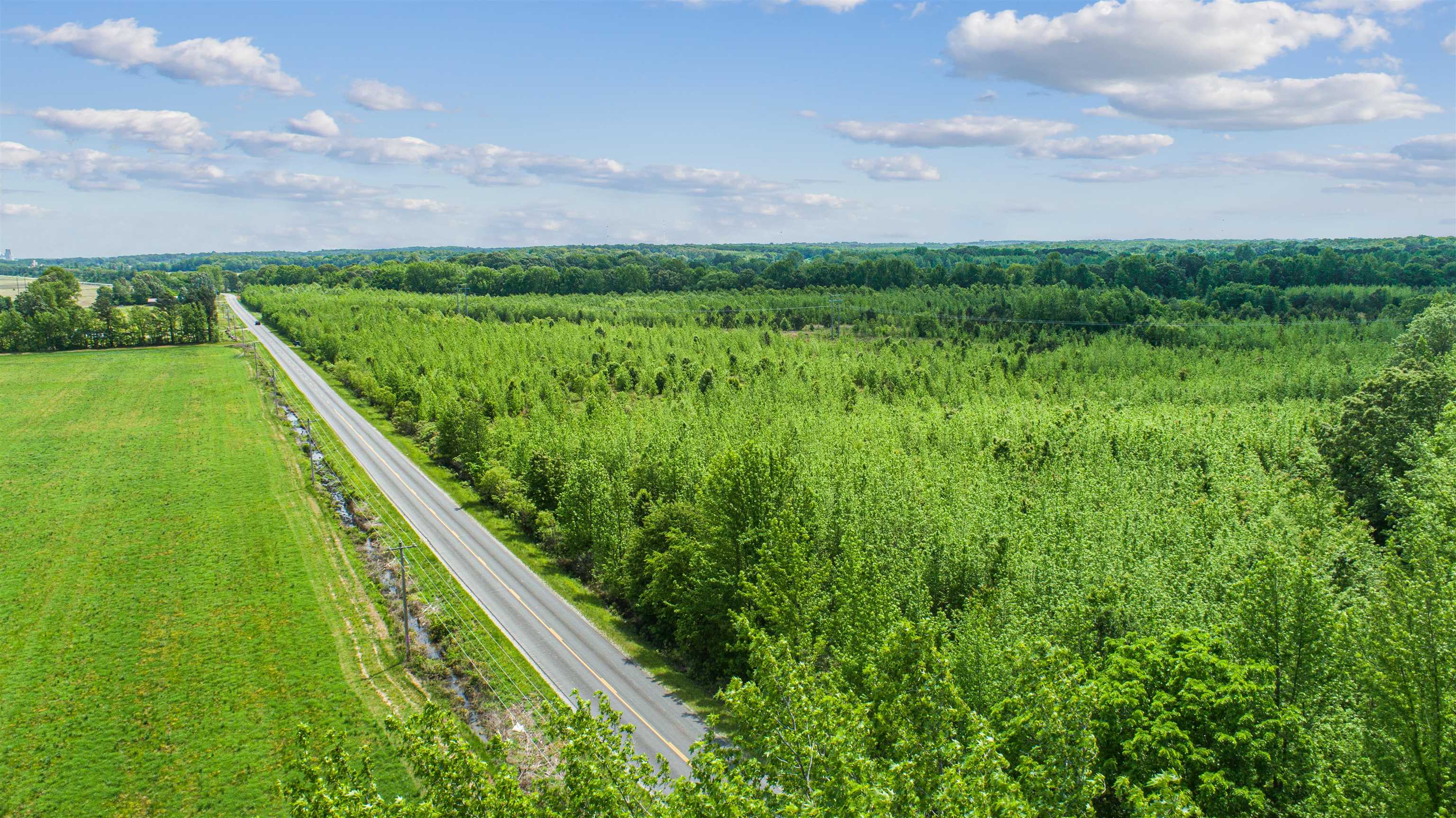 67.78 acres located on paved county road CR 114 (Sunrise Rd)  just outside of the Jonesboro City Limits.  Beautiful location with hills and level land. Excellent potential for an executive home site, small ranch, or development project.