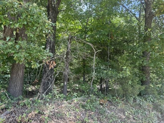TAYLOR FOSTER BRANCH - Land