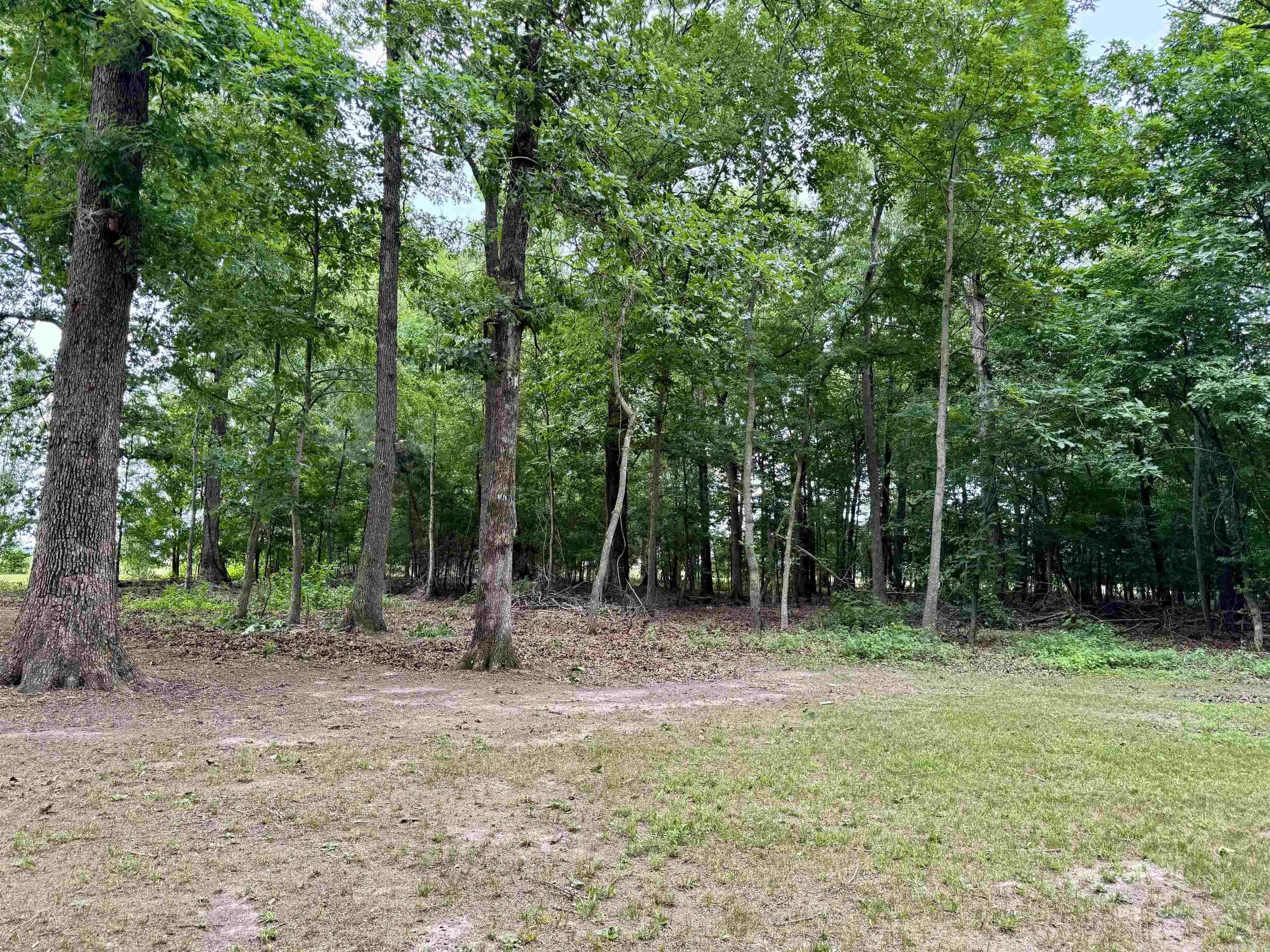 GRIFFITHVILLE ORIGINAL - Residential