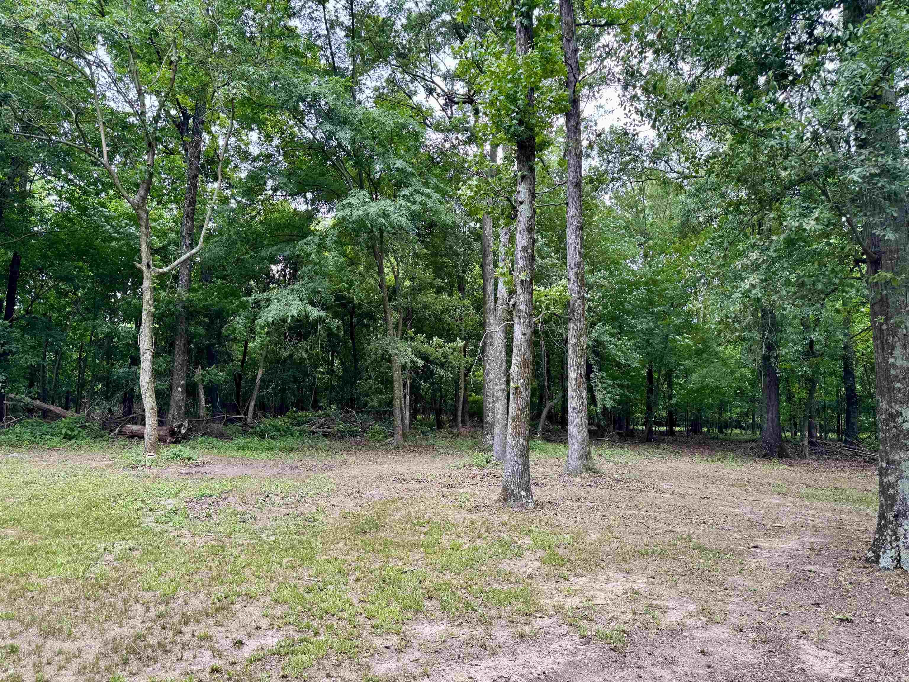GRIFFITHVILLE ORIGINAL - Residential