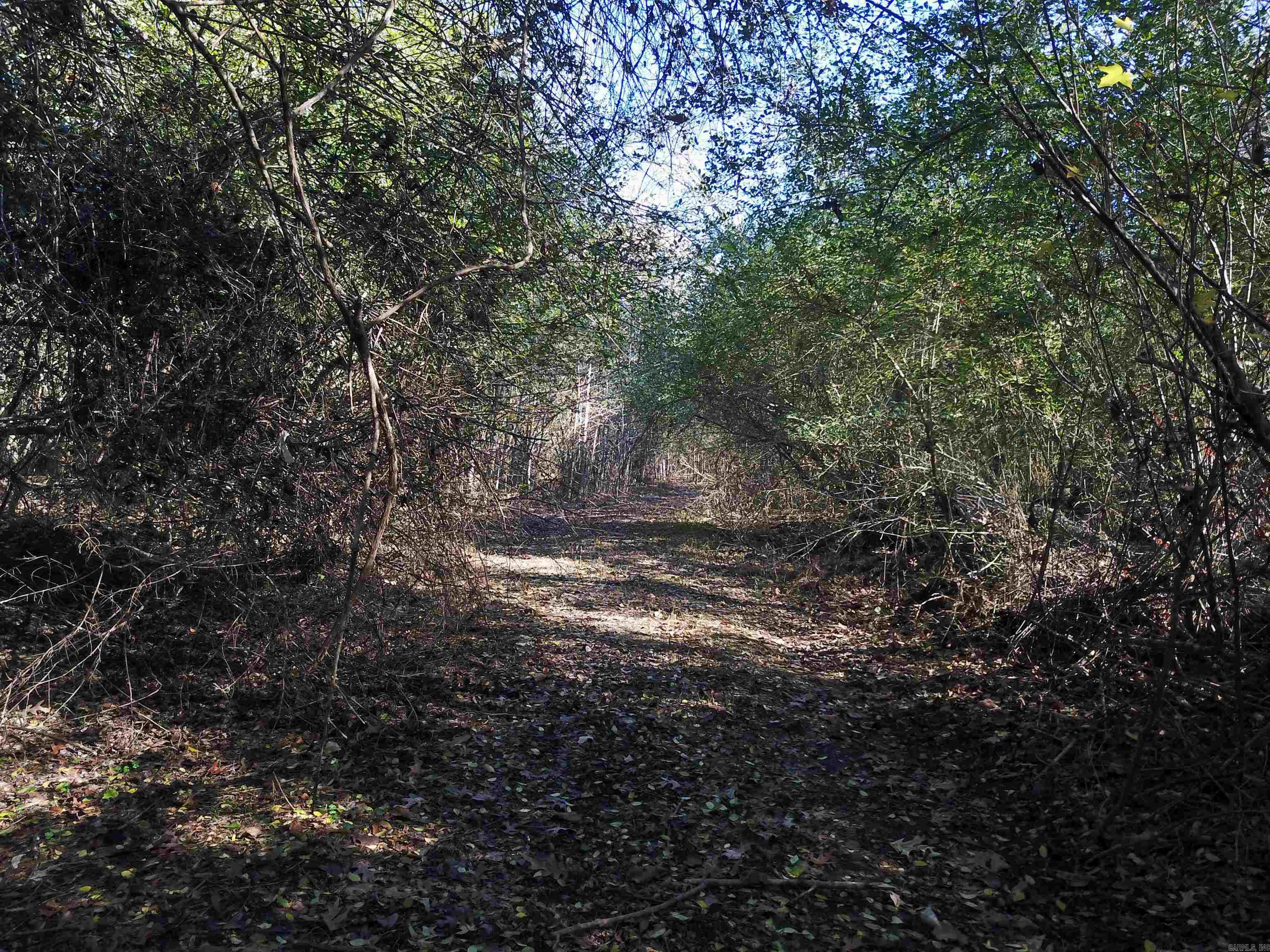 Clark - Farm