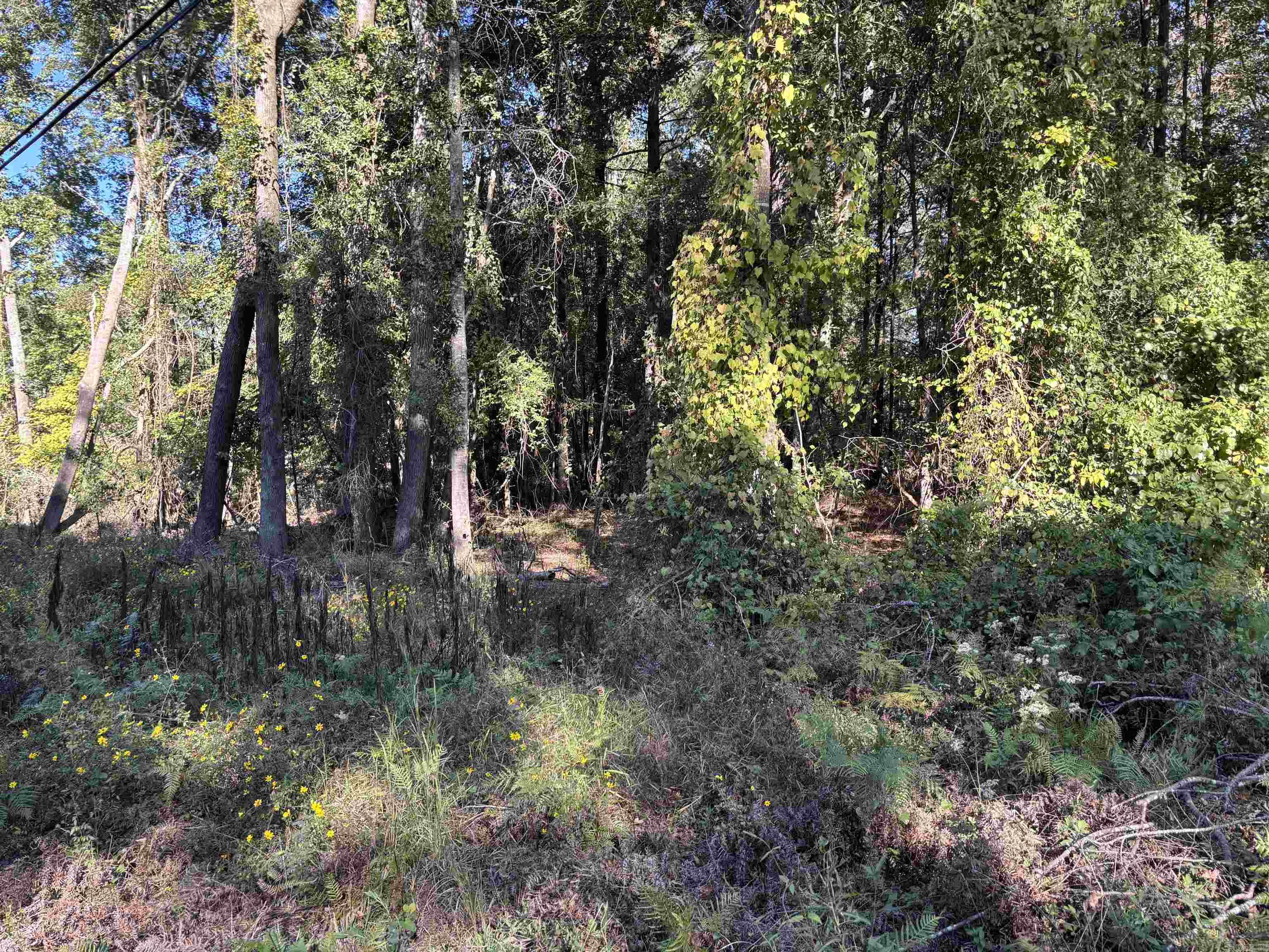Brownwood Subdivision*beautiful trees*city utilities*