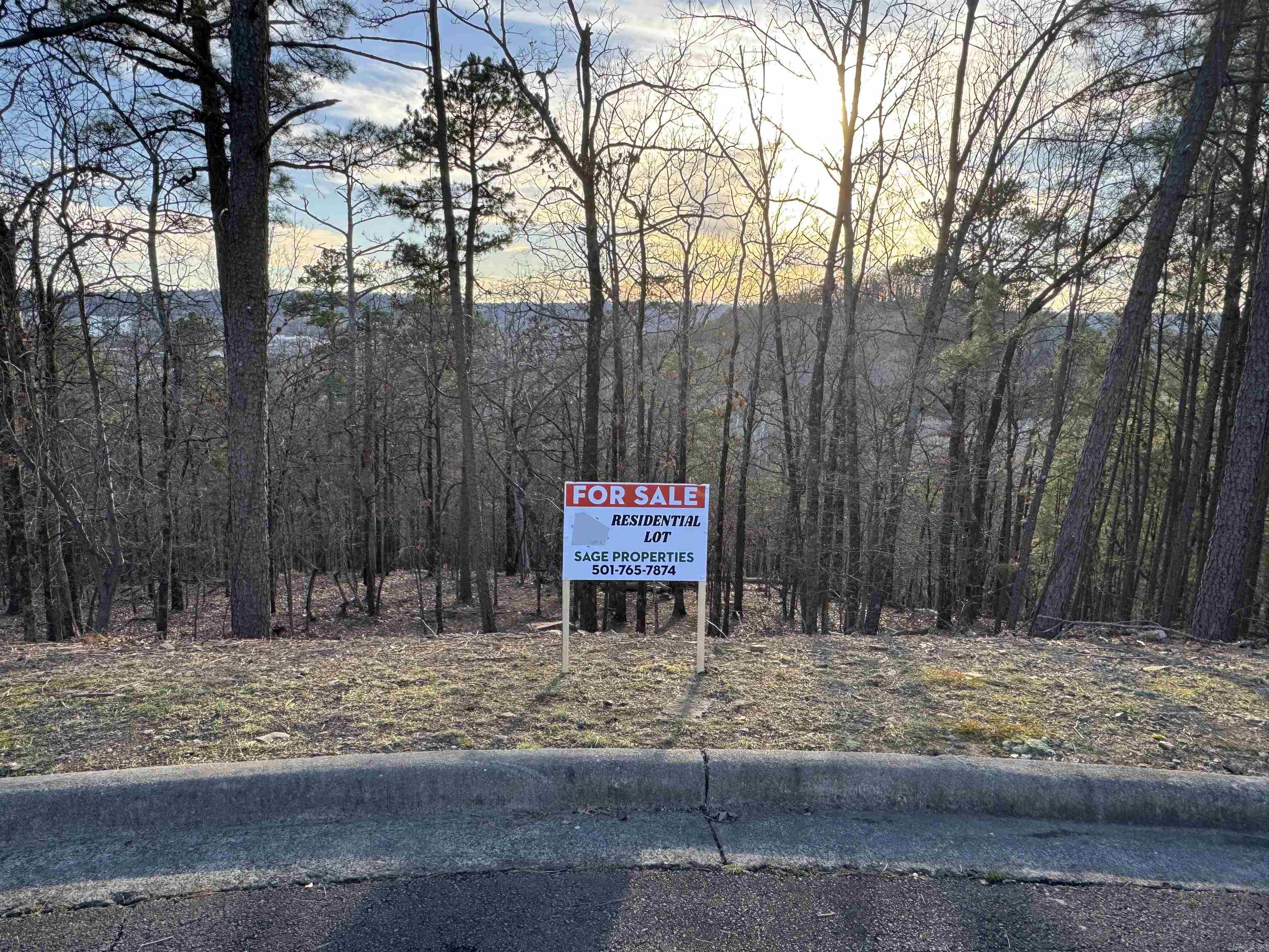 Awesome lot for a Contemporary home. Private wooded cul de sac lot with potential views of Pinnacle Mtn and Downtown Little Rock.  Close to Parks, River, Northshore Golf Range, walking, biking and birding.  Easy access to I430 or I40