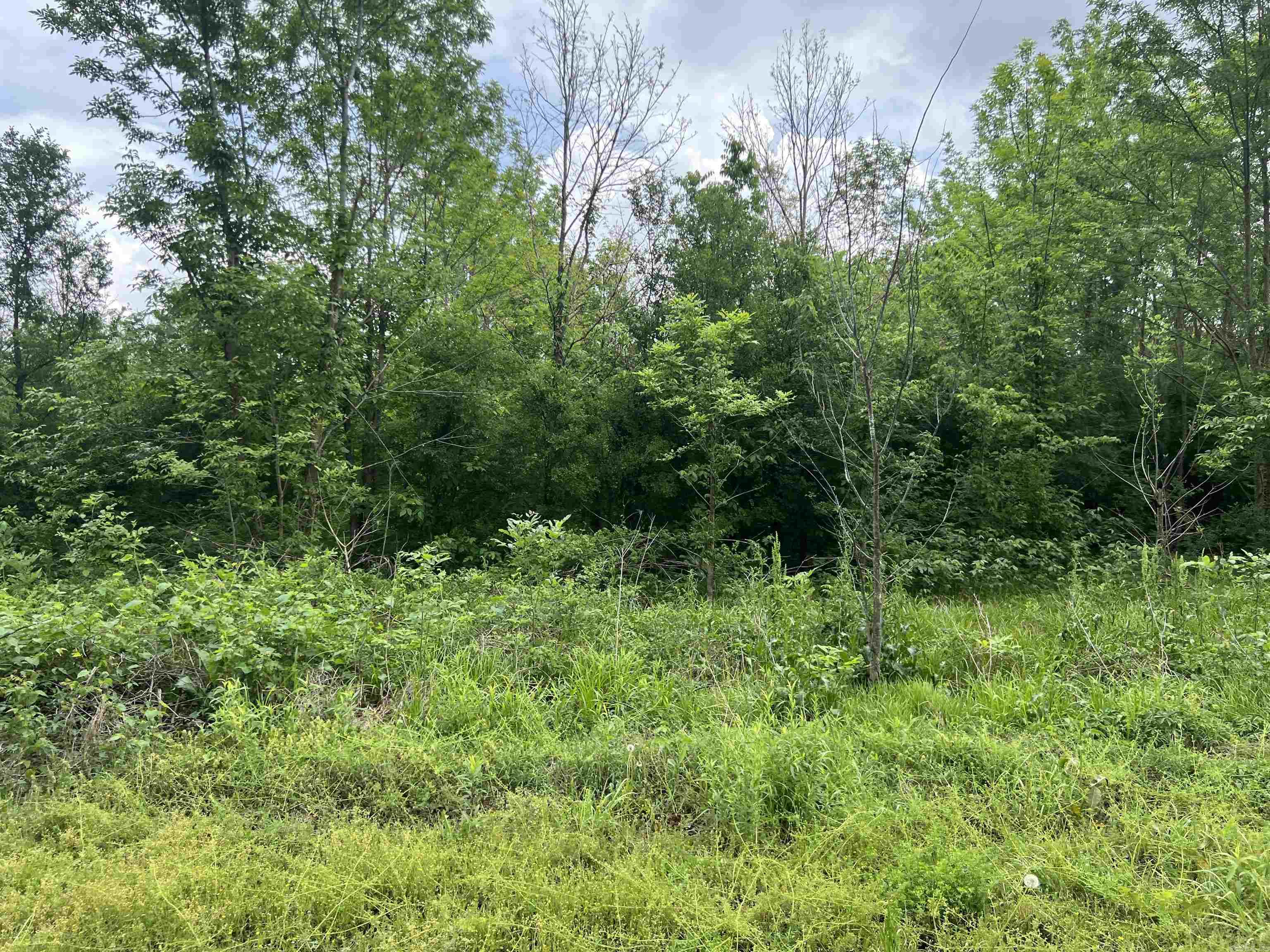 This is a wonderful piece of property with potential as property is currently planted in the CRP program and produces income. Located in the city limits of Grady and having frontage on Hwy 65 and Hwy 11, the opportunities are endless.  This property would make an excellent location for a truck stop or convenience store.