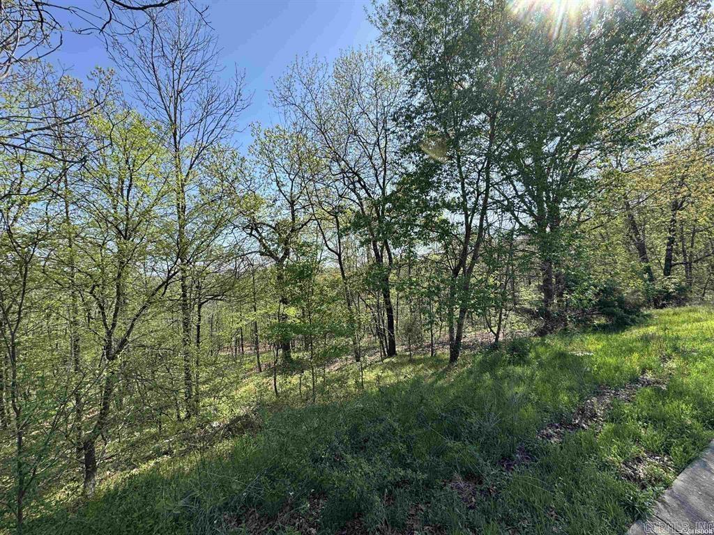 QUAIL RIDGE - Land