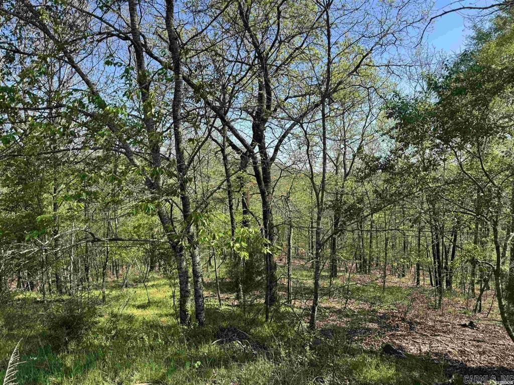 QUAIL RIDGE - Land