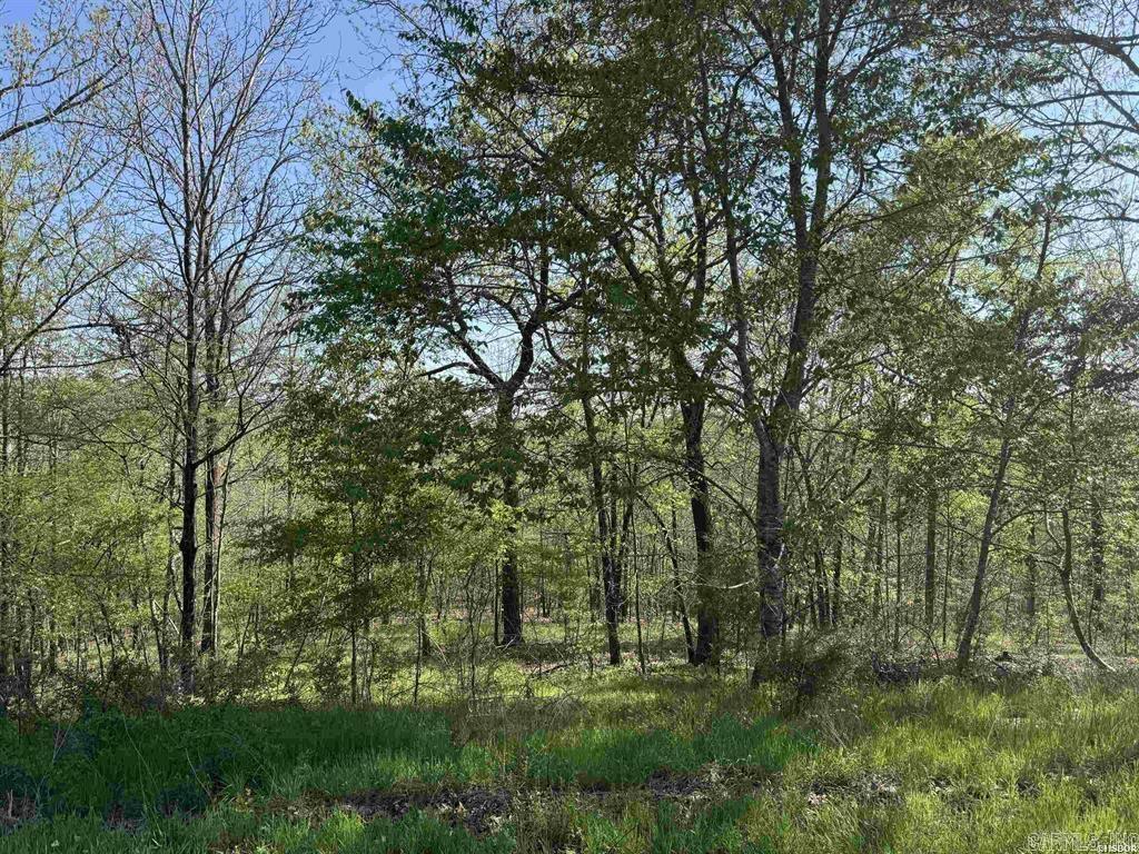 QUAIL RIDGE - Land
