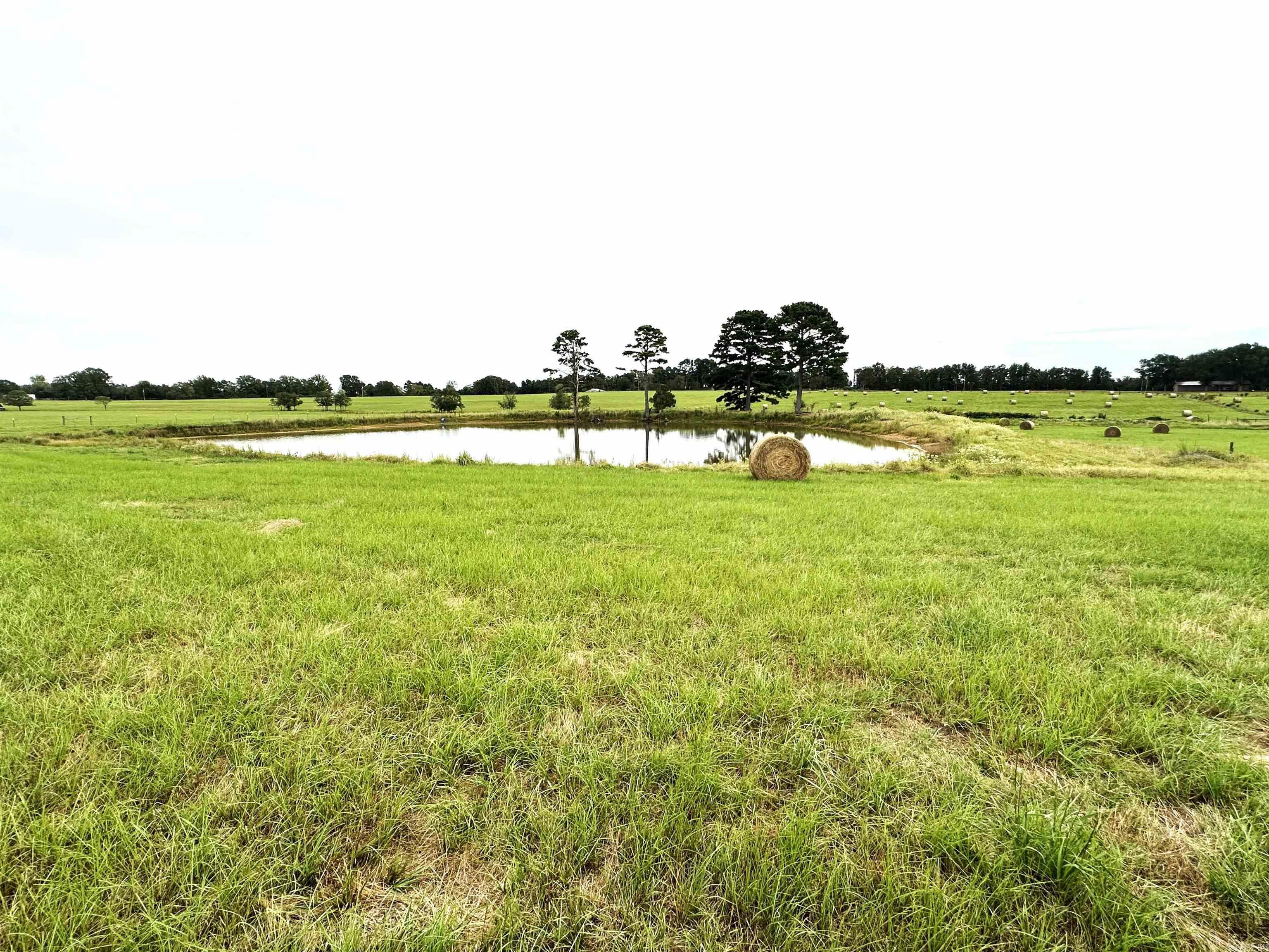 170 acres on beautiful rolling pastureland with 5 ponds, a dry-weather creek, an open barn, cross fence.  There is a 1700 sqft home that needs major work on 1 acre of the property that can be sold separately. (the exterior of the home has already been updated with new siding)
