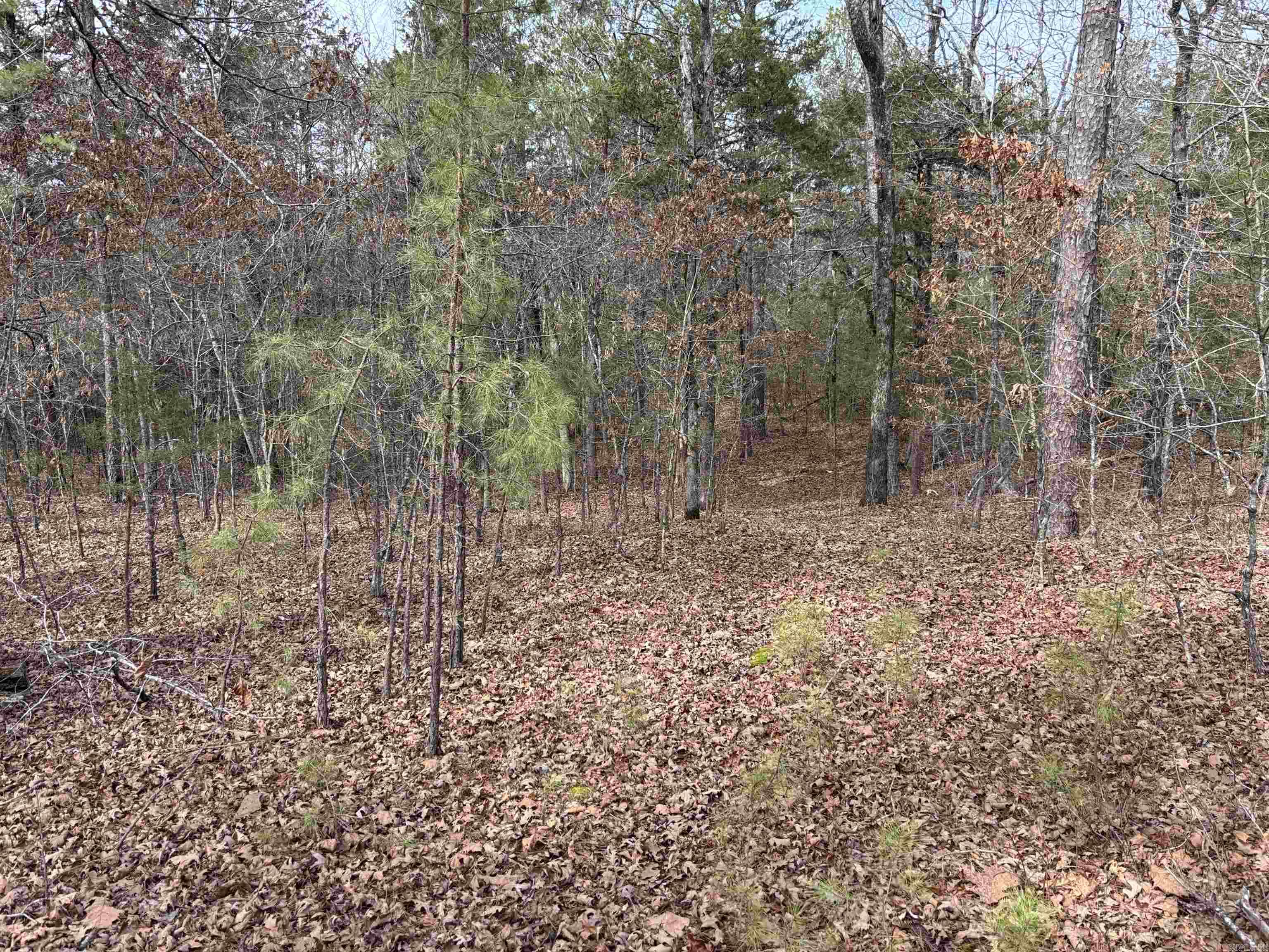 Bring your boats, jet skis, and all your water toys and make this beautiful 3.29 acre  tract your own! Whether you’re looking to build your dream lake getaway or place a mobile home, this property offers the flexibility you need.  Power and water are available at the property edge, making it even easier to start your plans. Just minutes from the lake and all it has to offer.  Don’t miss this opportunity to create your perfect retreat near the water!
