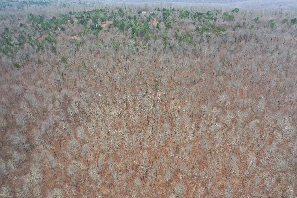 nil - Land