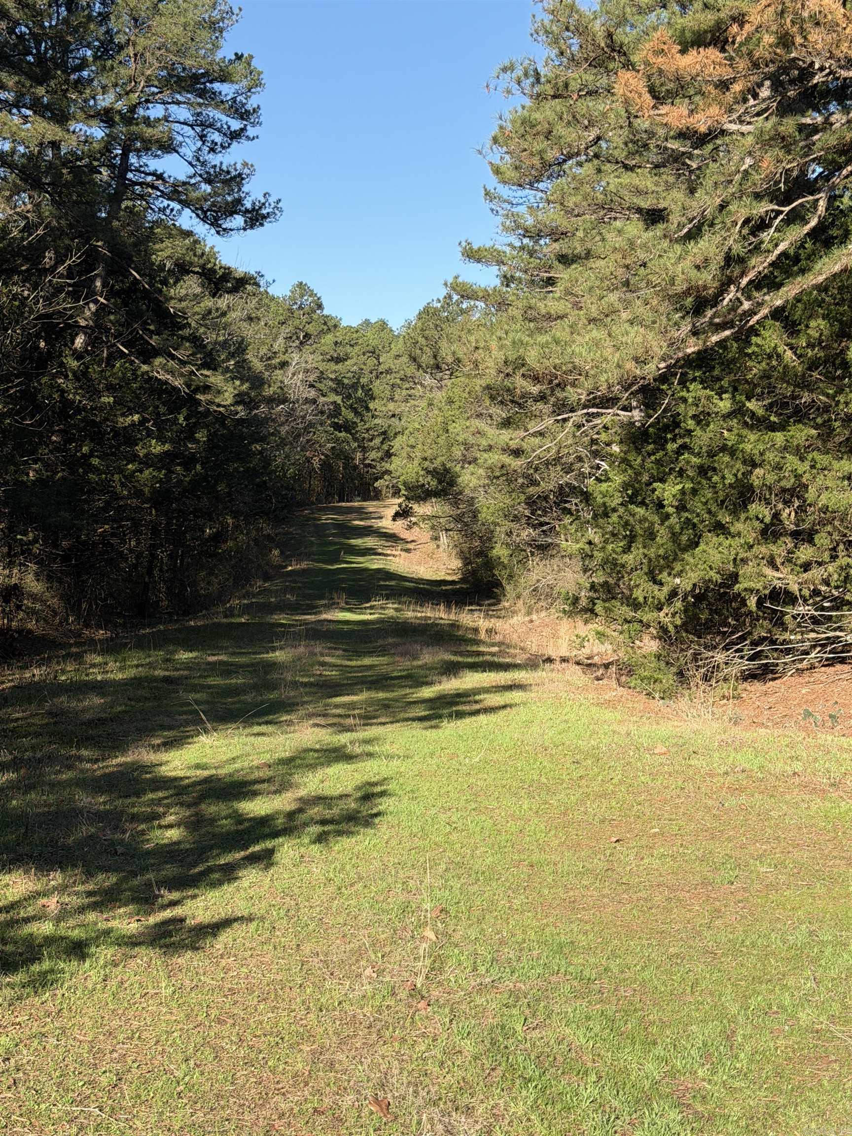 Cedar Glades - Land