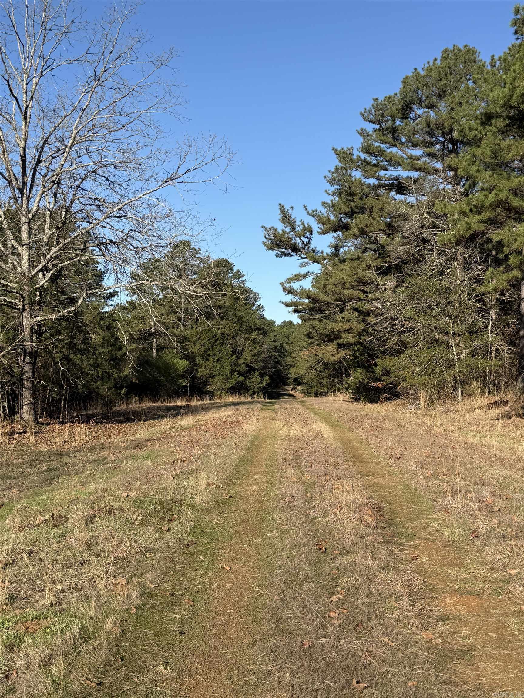 Cedar Glades - Land