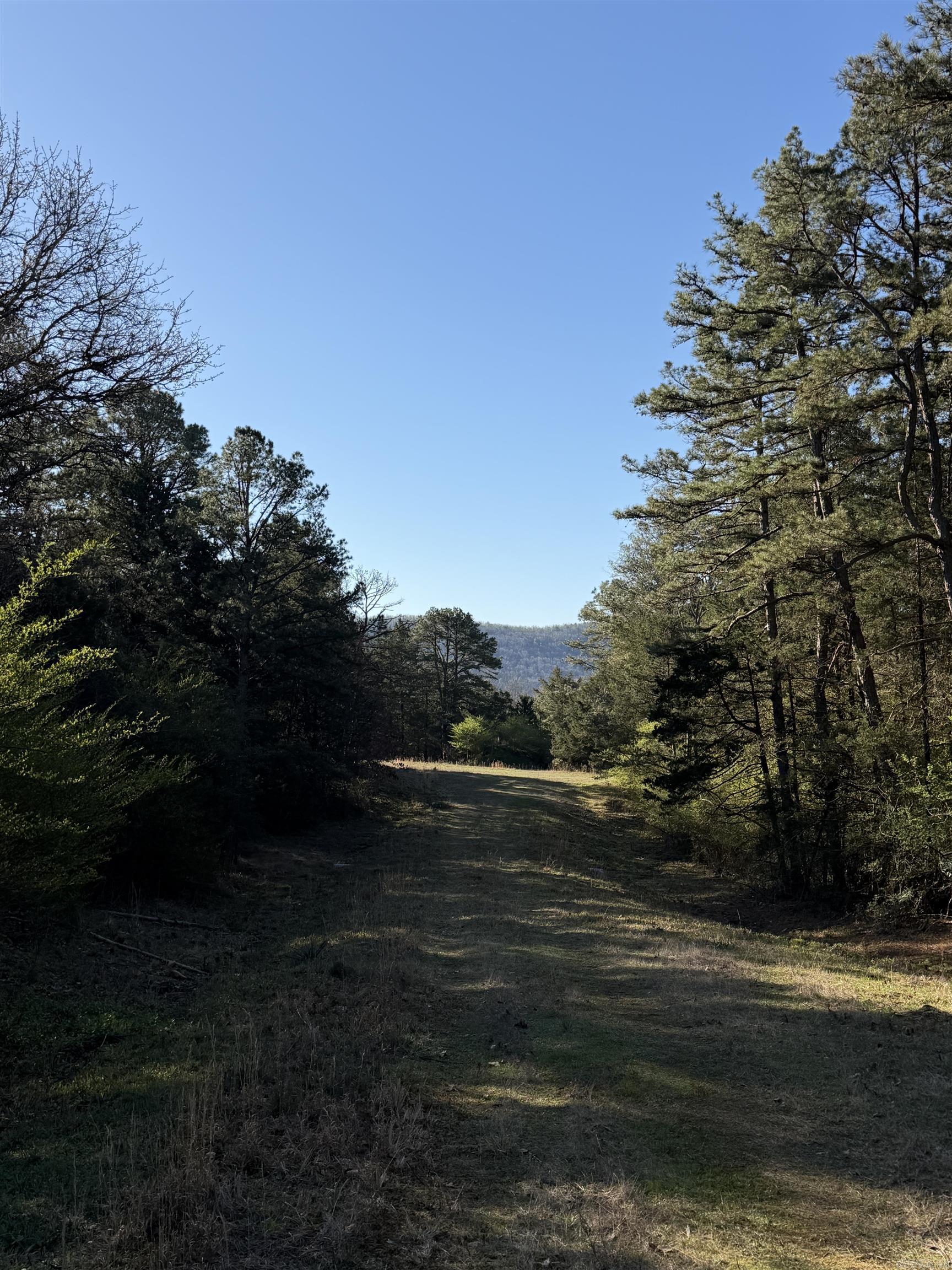 Cedar Glades - Land