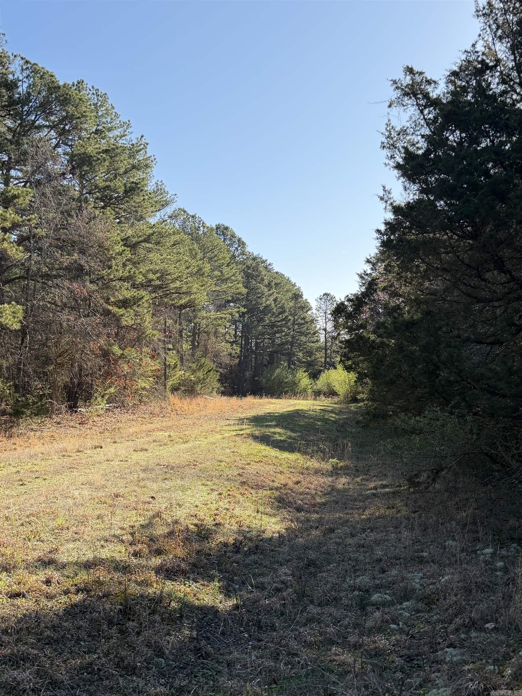 Cedar Glades - Land