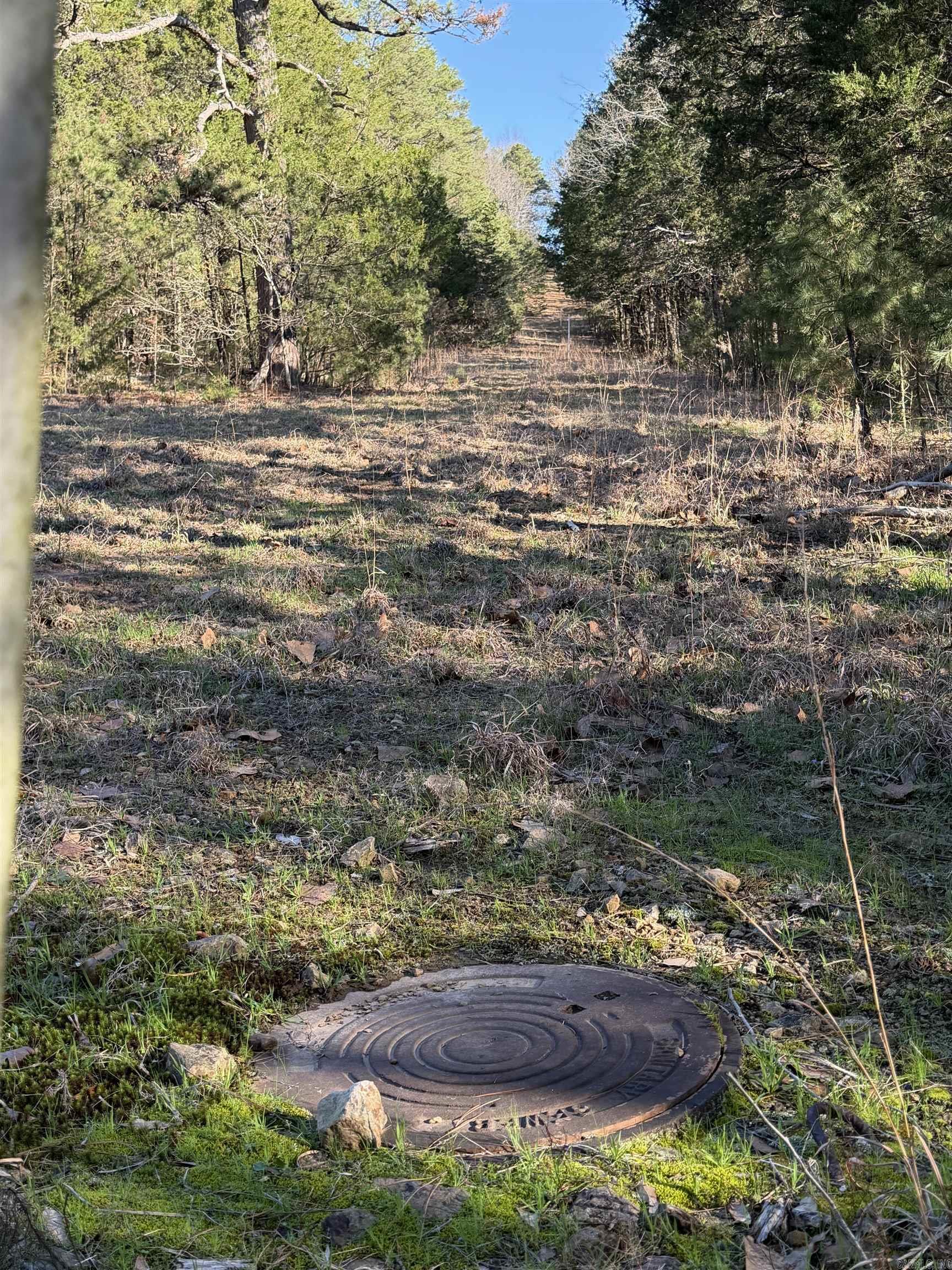 Cedar Glades - Land