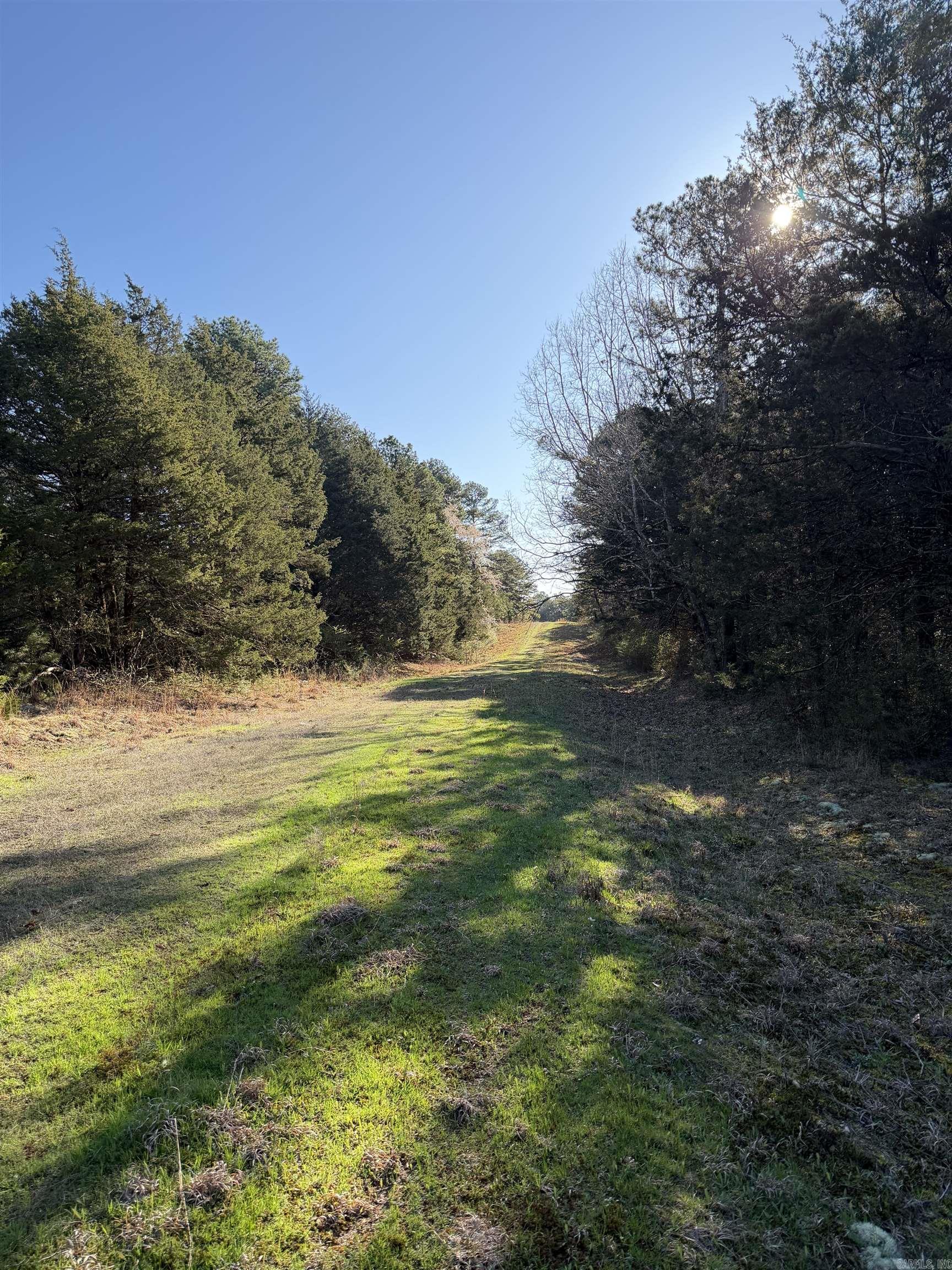 Cedar Glades - Land