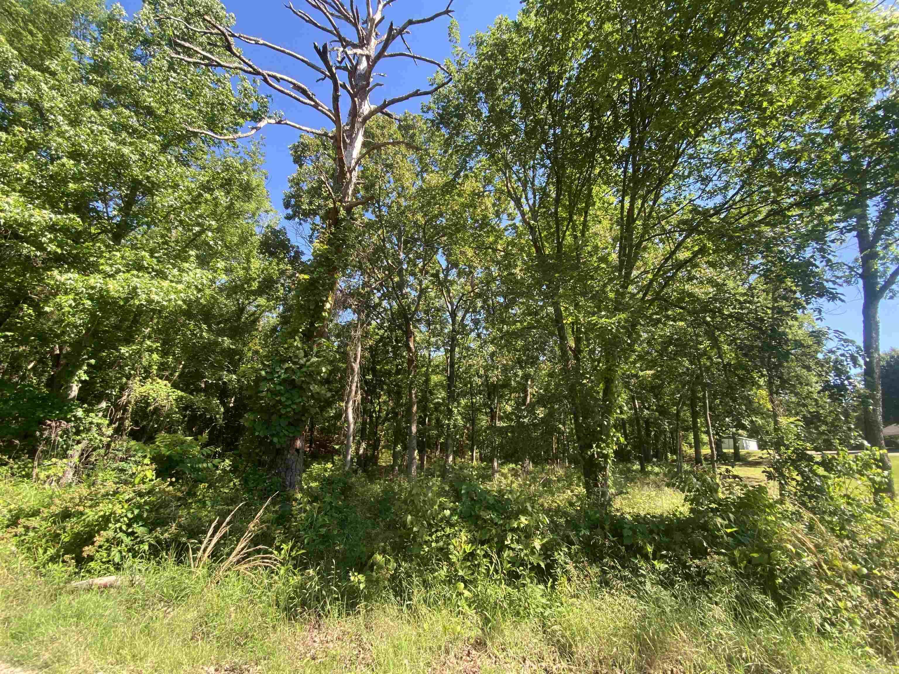 Vacant, undeveloped land in Mount Ida.  Make your home base Mount Ida.  Build your dream home or split the property up for all your family to live nearby.  Some city utilities available.  Entrances to the property off of Golden Road or Housing Authority Drive.  Several building sites or subdivide to make your own rules for the property.  Listed at $128,860.00.  Call today.