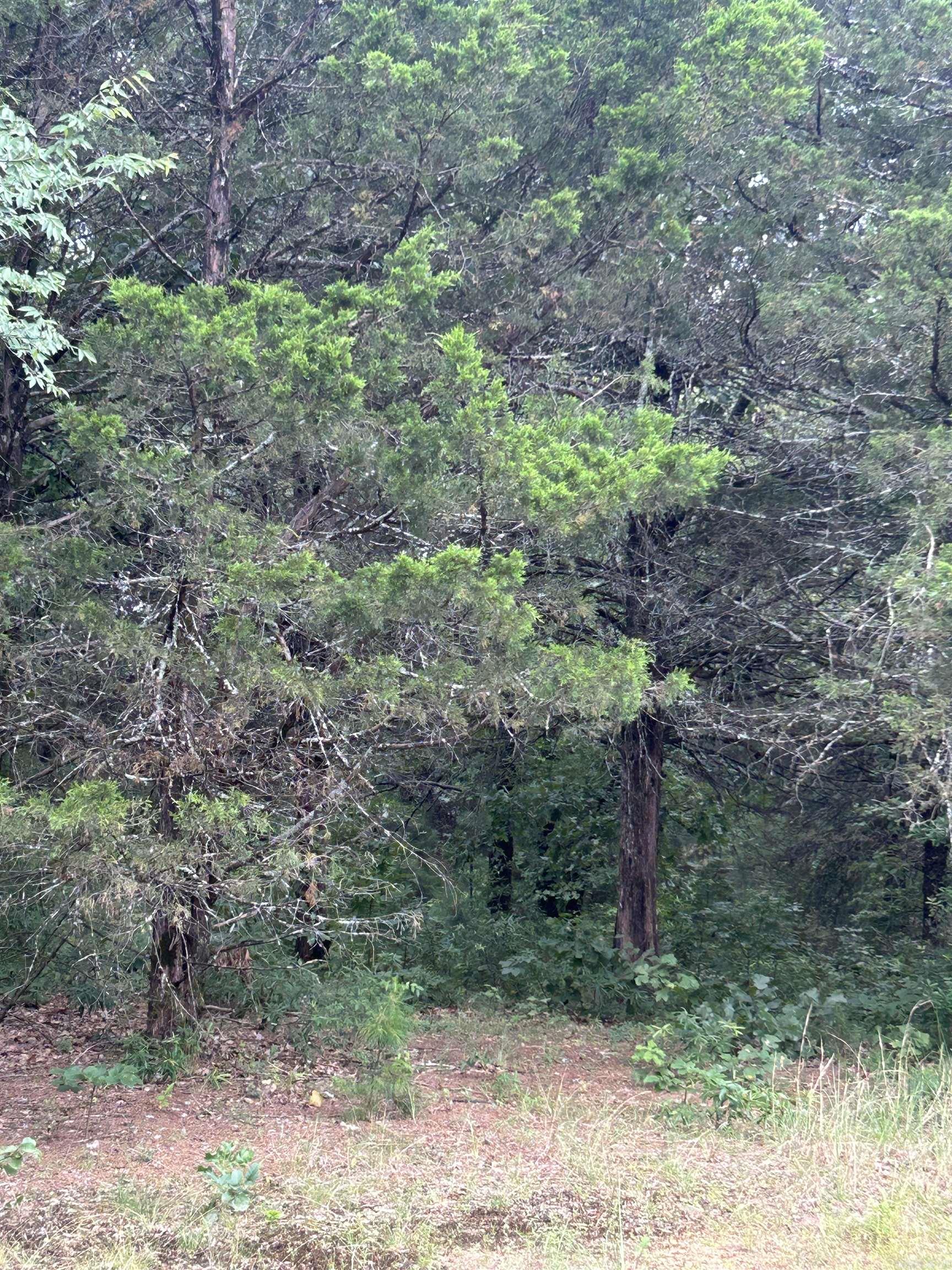 Sherwood Estates - Land