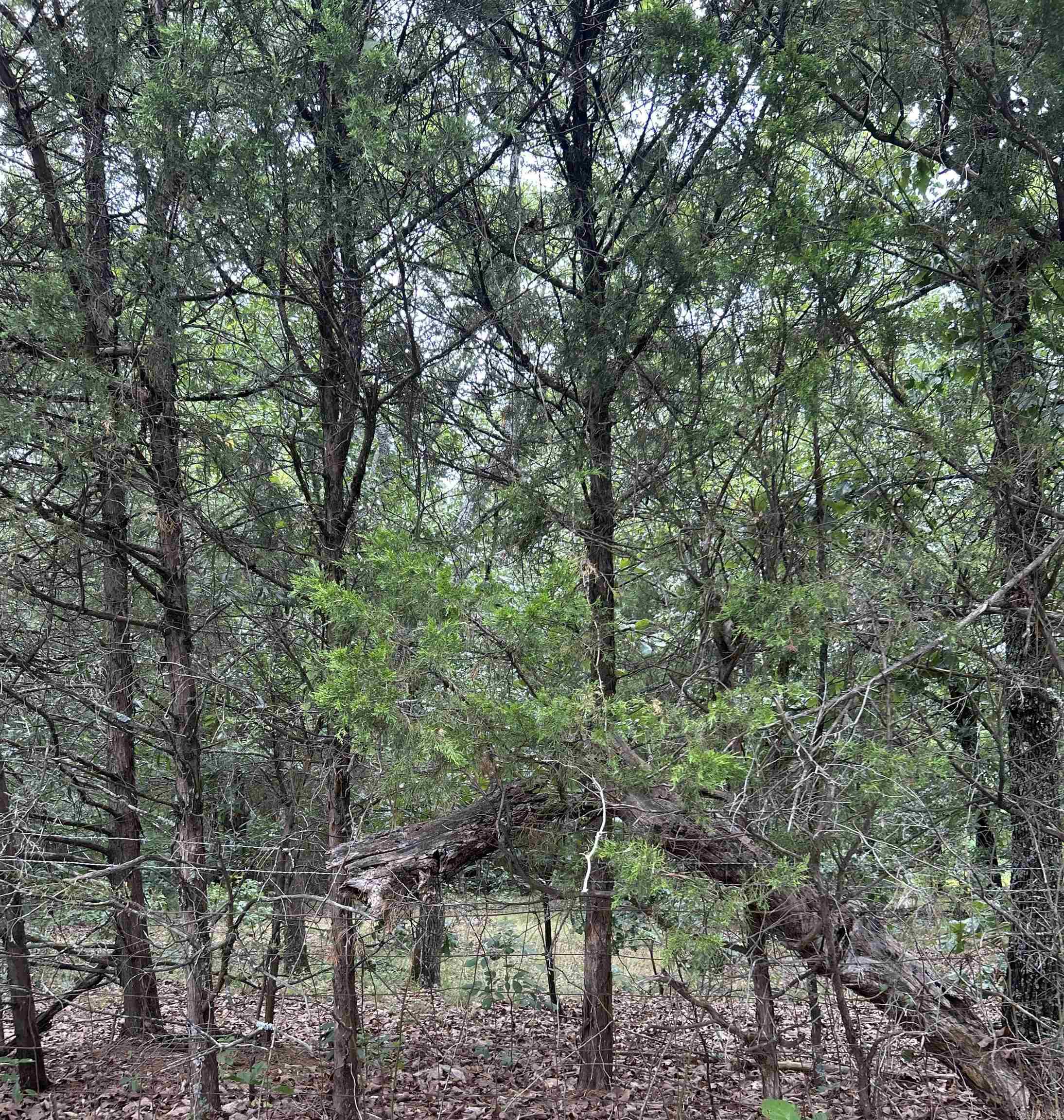 Sherwood Estates - Land