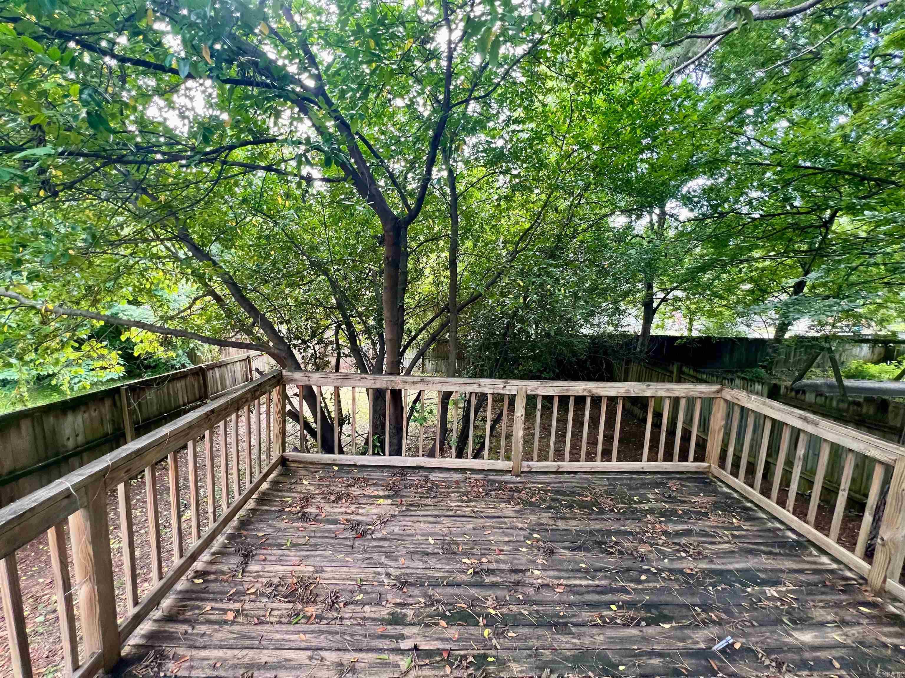 Lincoln Park - Residential