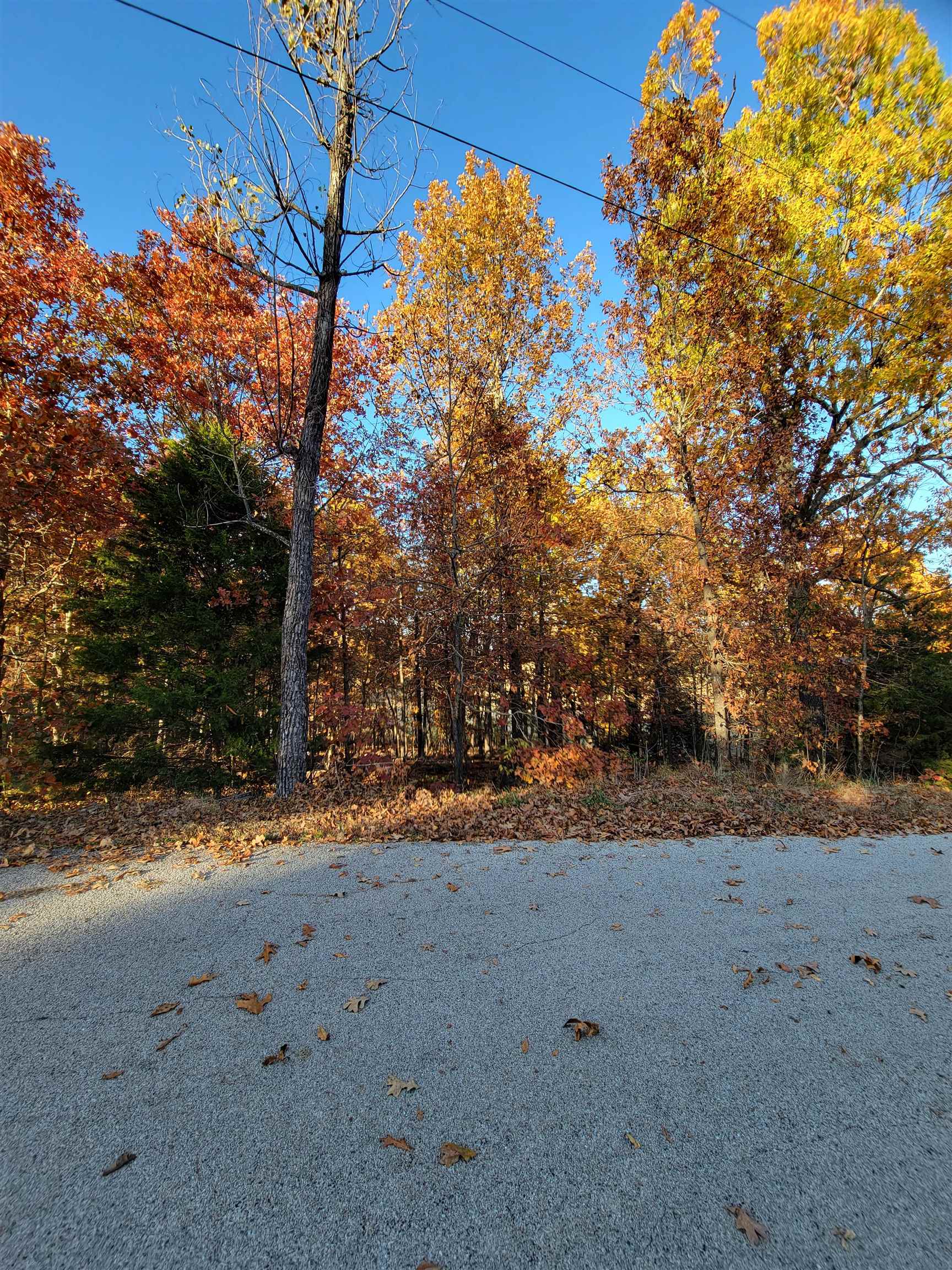 Build your Golf Course Dream Home! 2 lots totaling .7 acres facing the #1 green and Driving range on the South Course in Cherokee Village, AR. Priced to sell, these lots are level, partially cleared and have utilities available at the road.