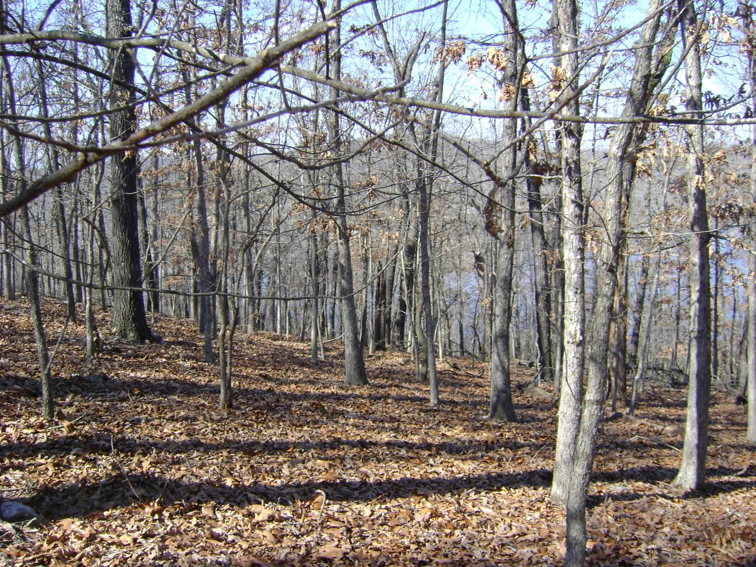 Executive - Land