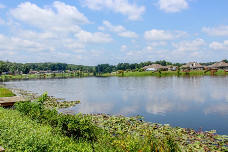 Magness Creek - Residential