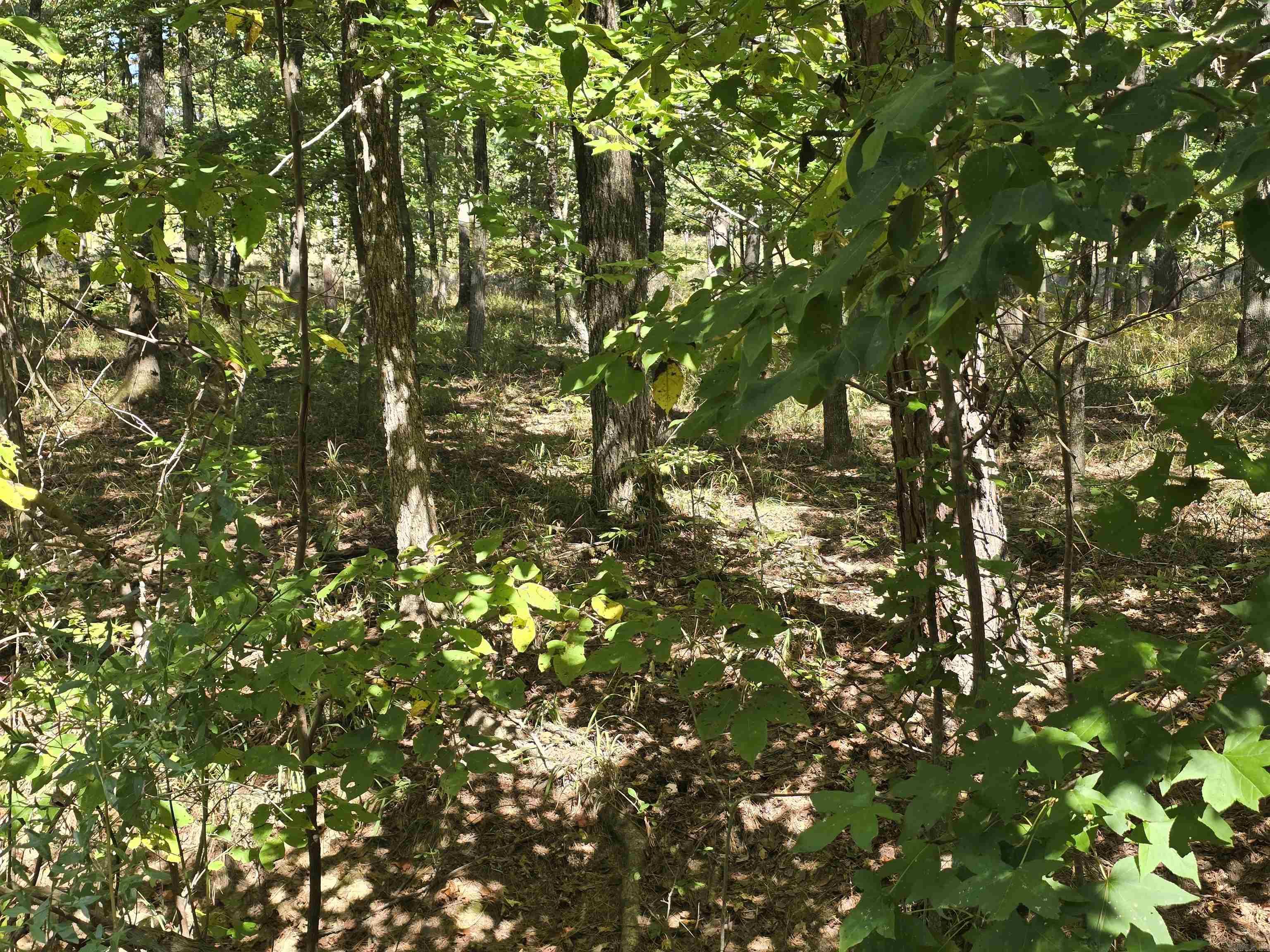 Looking for a nice level lot in a friendly golf course community?? Check this one out in Lakeside Schools!