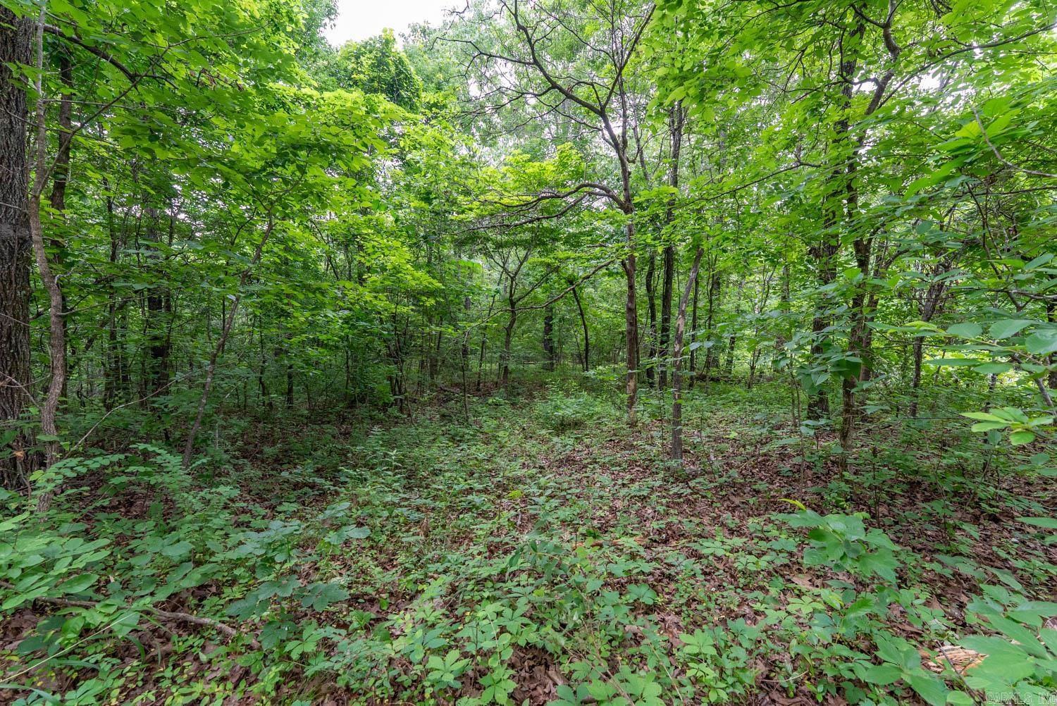 DEER HAVEN - Land