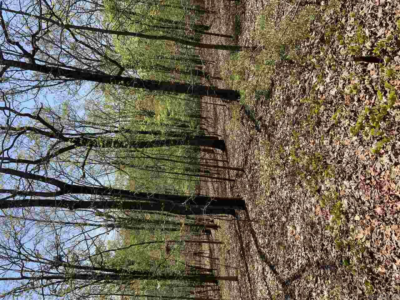 Beautiful setting for your dream home. 2 Lots combined to form 4.31 acres. Established neighborhood close to amenities and 67/167