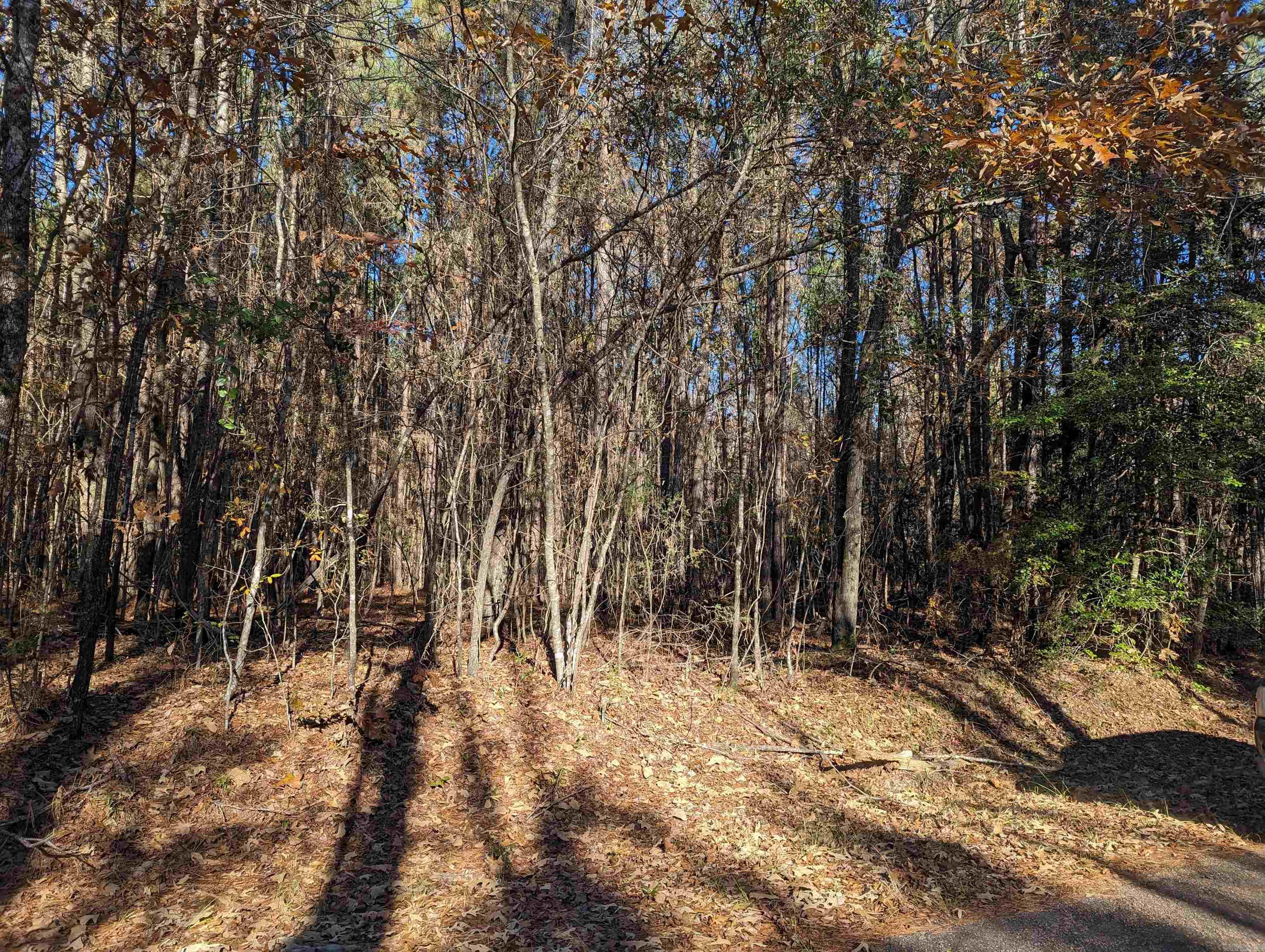 If you are looking for a peaceful setting to set up your new mobile home or to build,  take a look at this beautiful acre in the Elliott Community. Rural living at its best. Square footage, lot size, and acreage is taken from courthouse records.