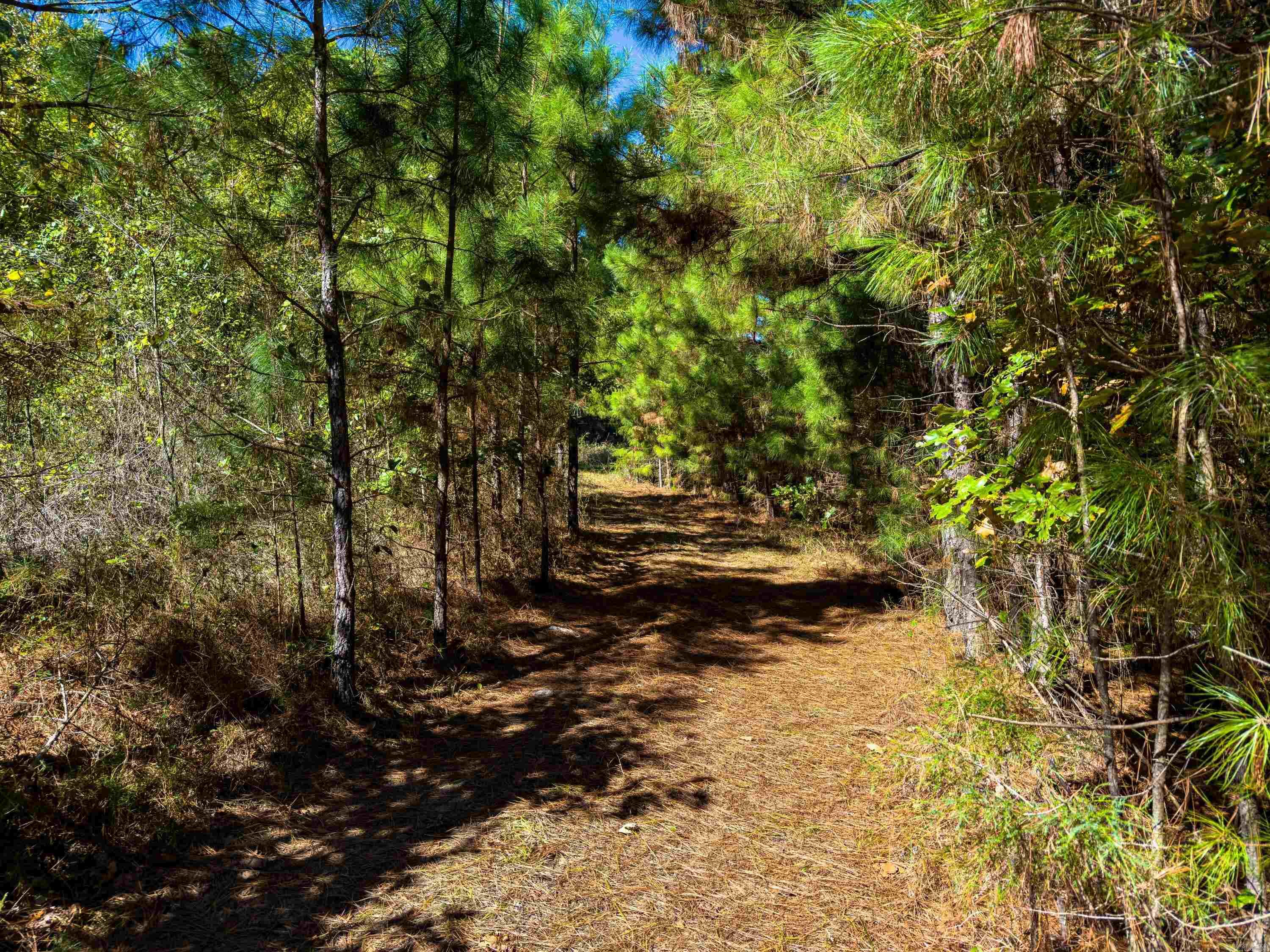 Vista Pointe - Land