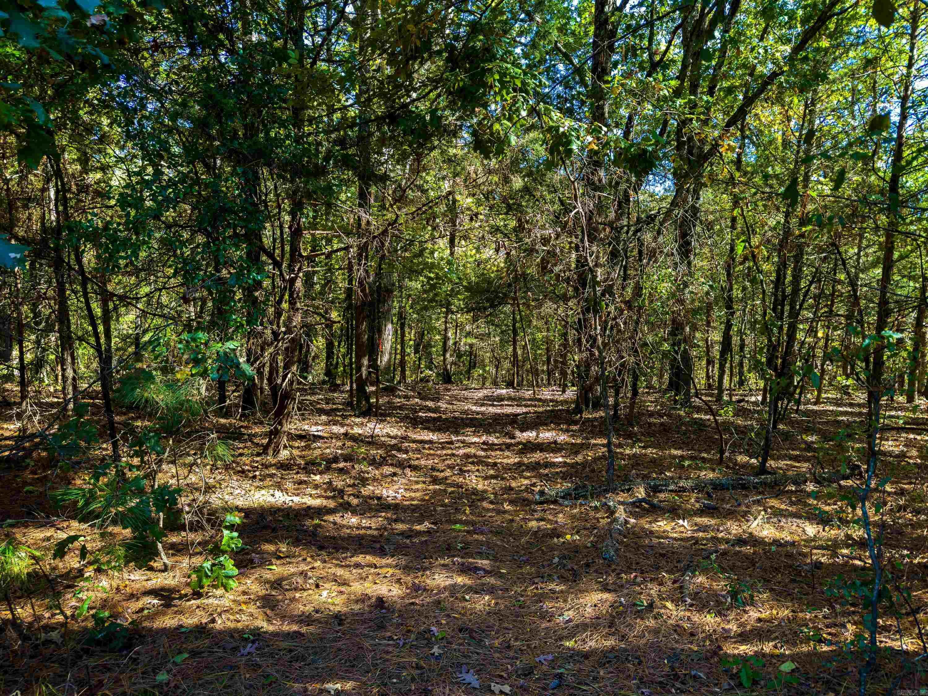 Vista Pointe - Land