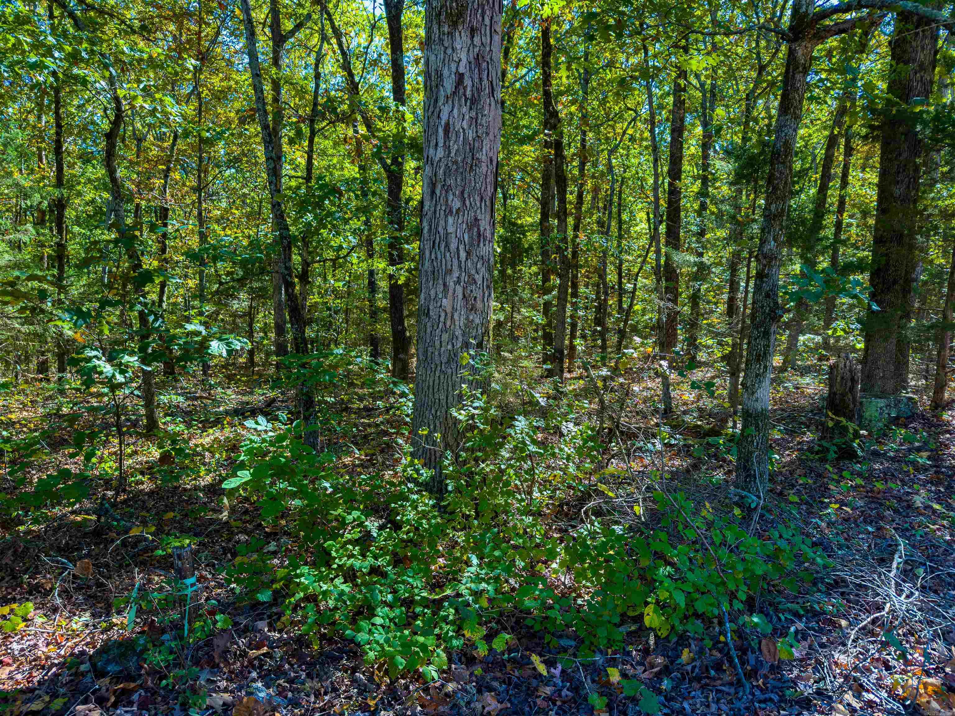 Vista Pointe - Land