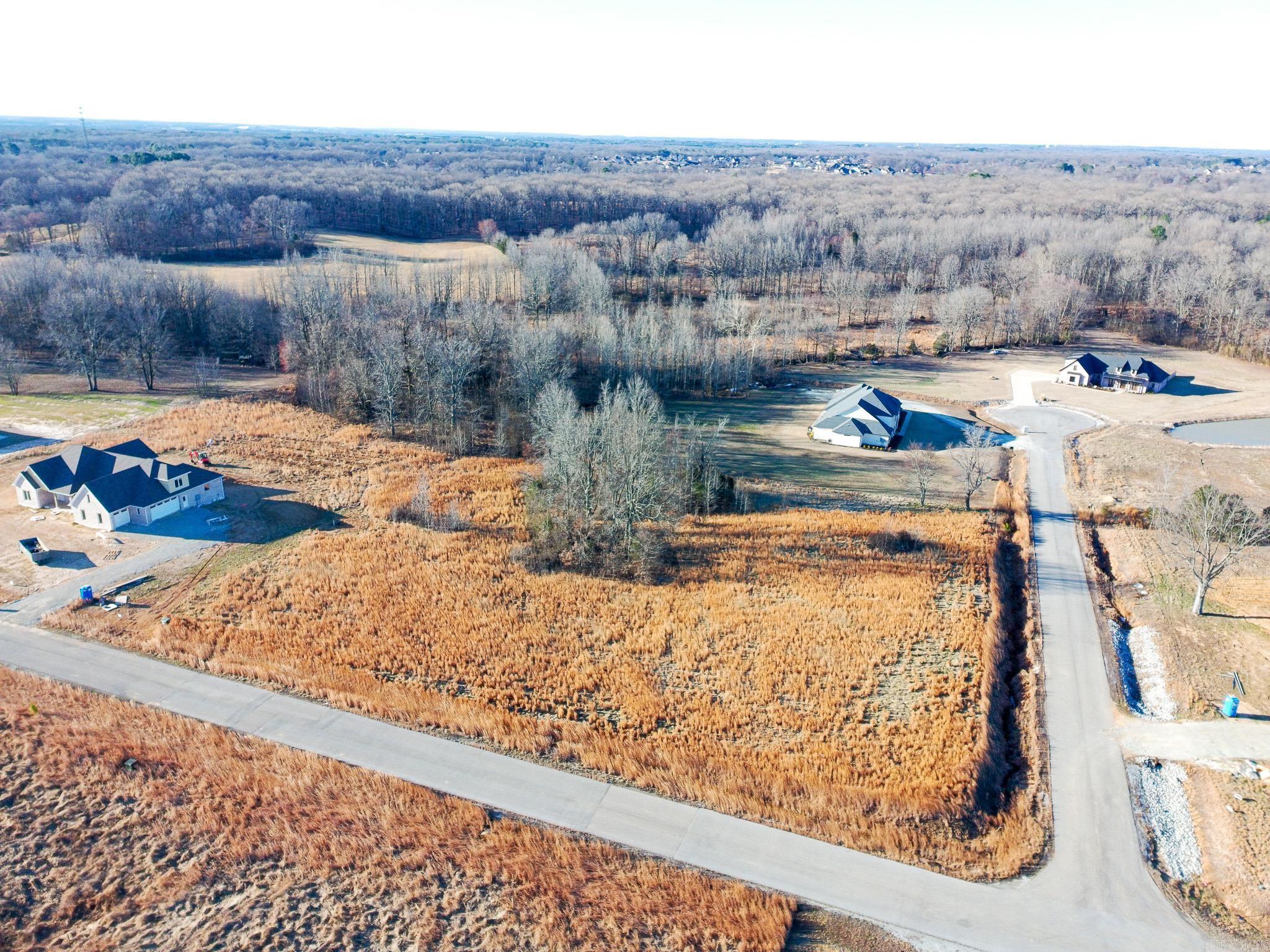 Beautiful 3.00-acre corner lot located in Phase 2 of Copeland's Subdivision. Situated on the back side of the development, this property offers added privacy and plenty of space to build your dream home. Enjoy the best of both worlds — peaceful country-style living just outside the city limits while remaining minutes from Sage Meadows Country Club, Arkansas State University, NEA Baptist Hospital, and the restaurants and shopping at Hilltop. Located in the highly sought-after Brookland School District, this oversized homesite provides room for outdoor living, a shop, pool, or additional amenities. Rare opportunity to secure acreage in an established subdivision with convenient access to everything Jonesboro has to offer.