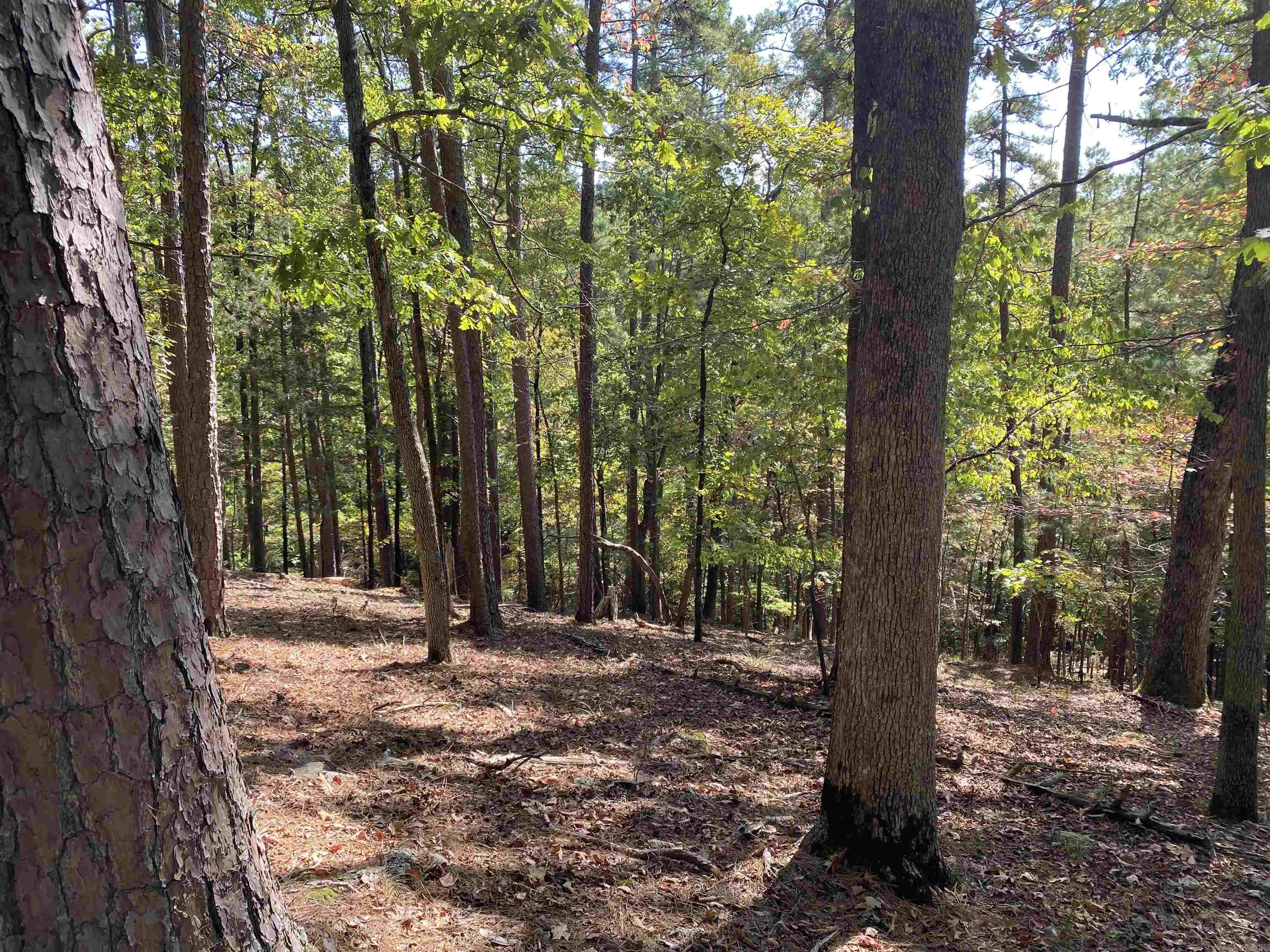Hickory Nut Mountain Estates - Land