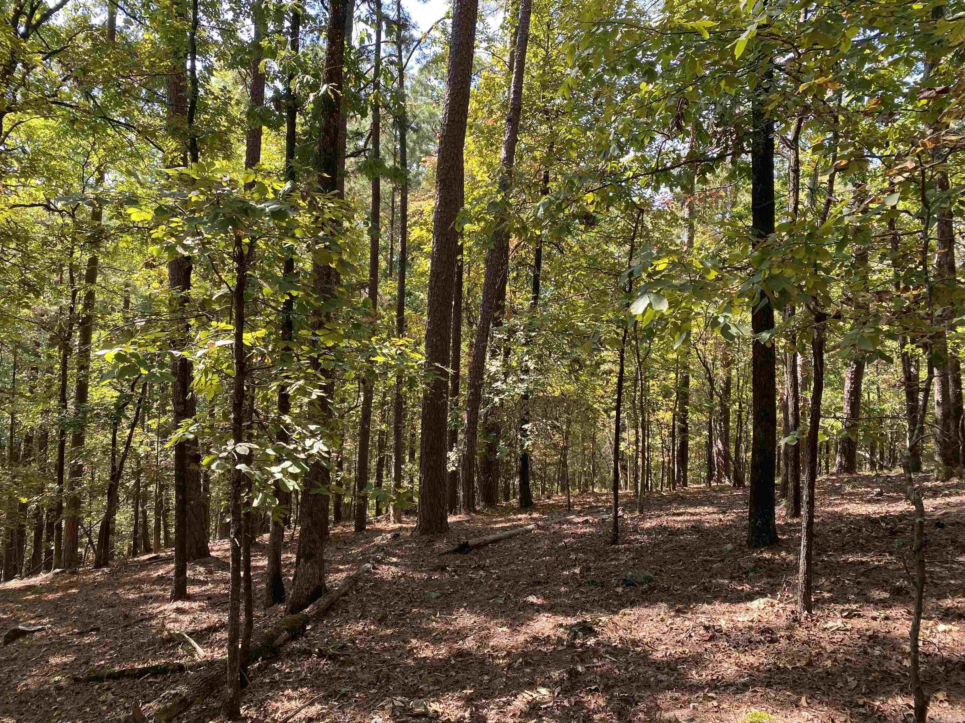 Hickory Nut Mountain Estates - Land