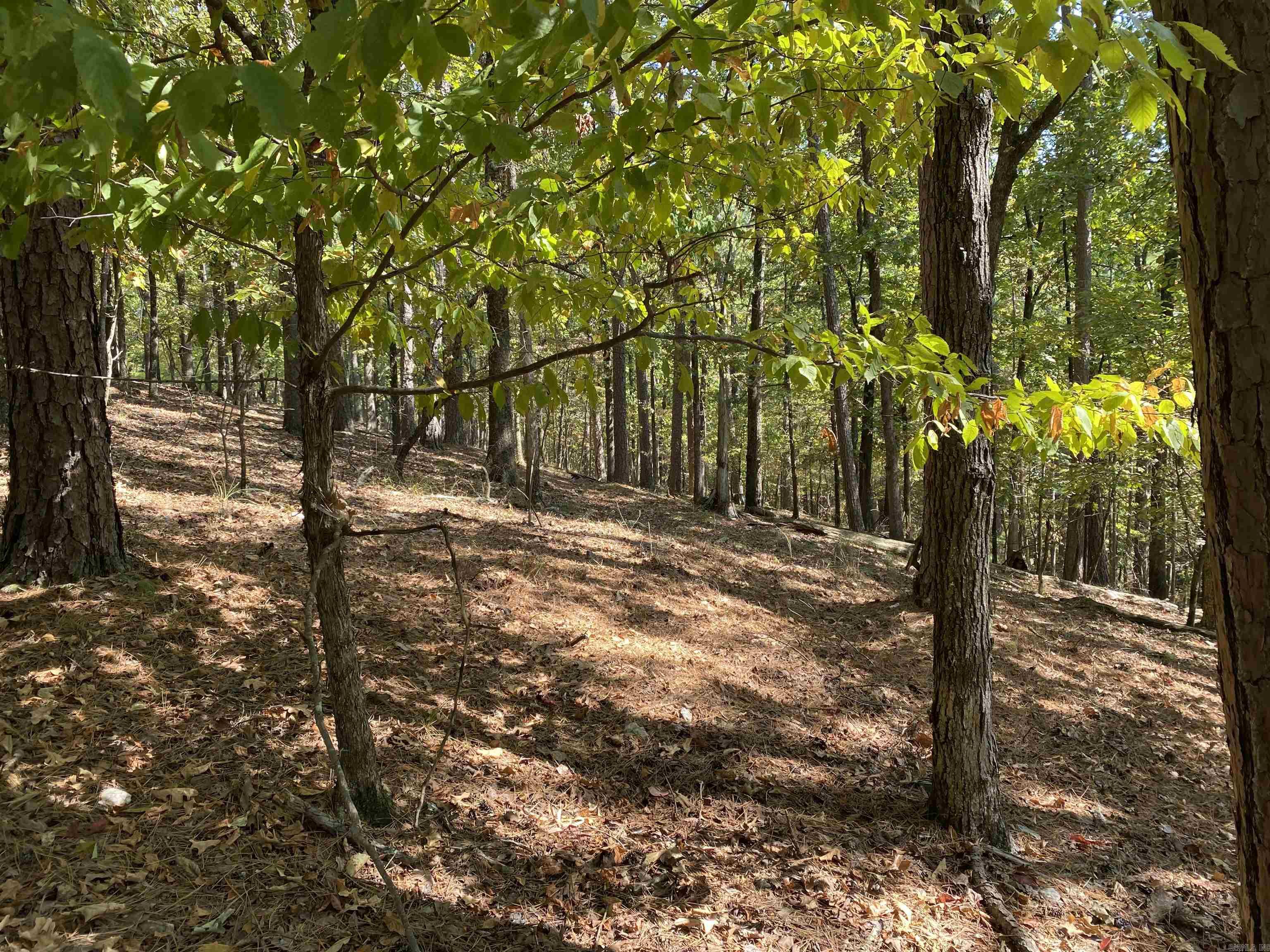 Hickory Nut Mountain Estates - Land