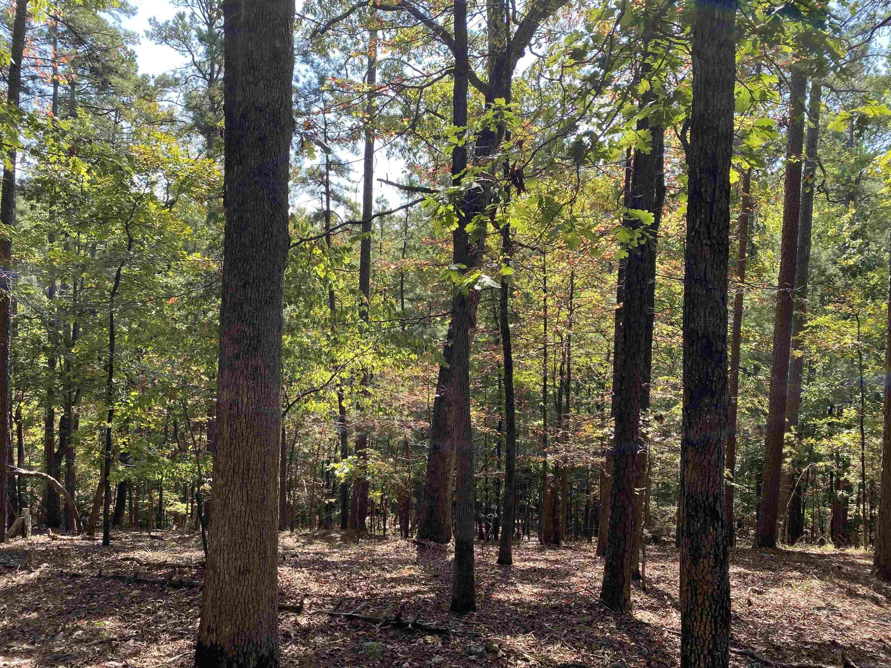Hickory Nut Mountain Estates - Land