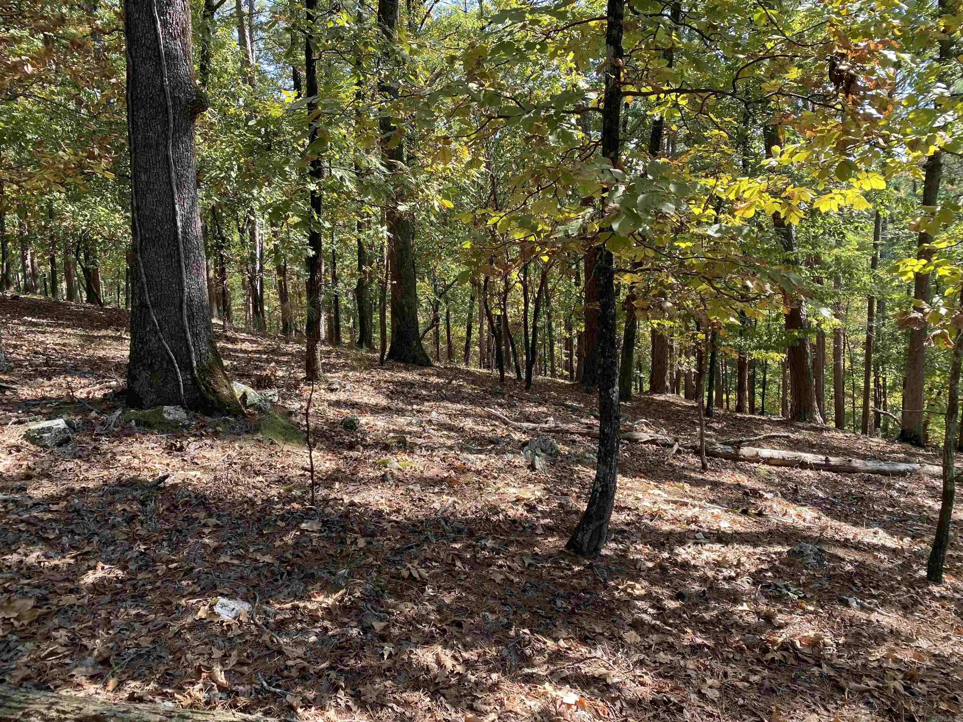 Hickory Nut Mountain Estates - Land