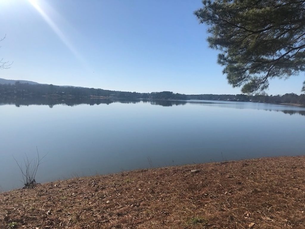 LAKEVIEW - Residential