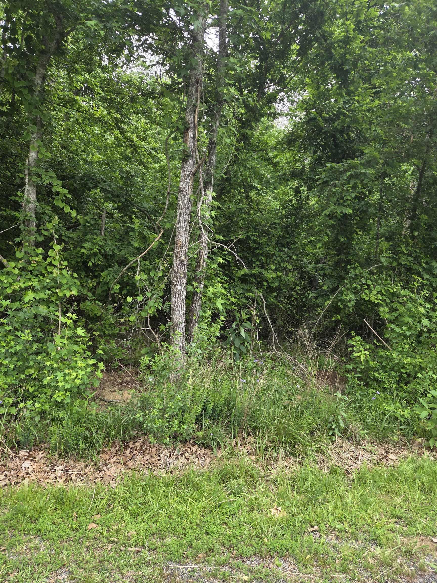 This large, beautiful, level, flat lot is almost an acre and has a lake view! It is not in the flood zone. You can build your dream home or weekend getaway on this stunning, one-of-a-kind lakeview lot. Located in the peaceful Diamondhead community.  You'll enjoy the amenities of Diamondhead, such as Lake Catherine, an 18-hole PGA golf course, an Olympic-sized swimming pool, tennis and pickleball courts, clubhouse, natural beauty, and community at its best, and more - all minutes away from beautiful downtown Hot Springs and I-30 freeway.