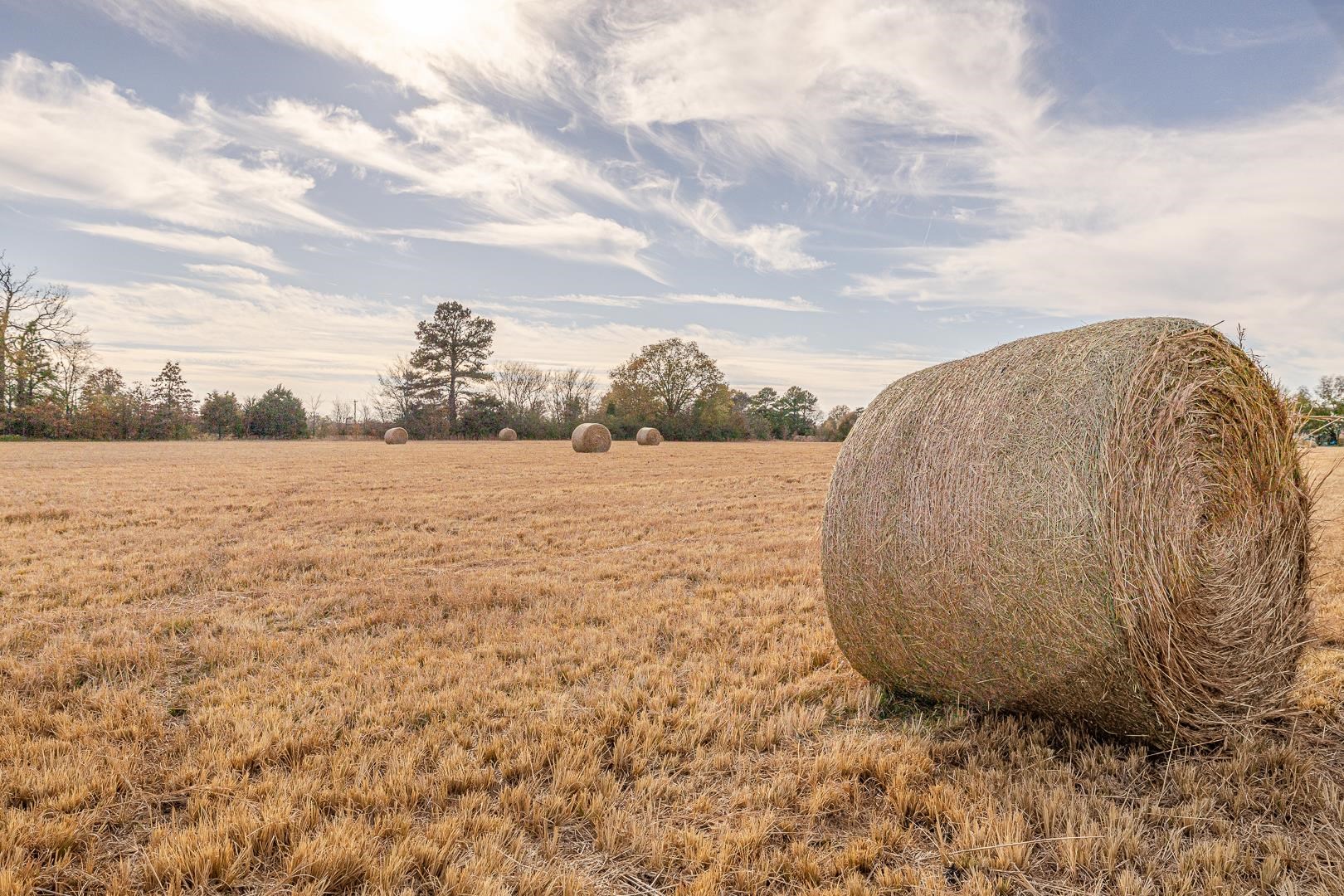 Jonesboro City - Land