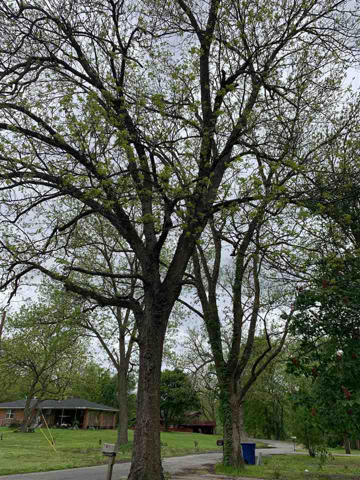 CHAPMAN & DEWEY - Residential