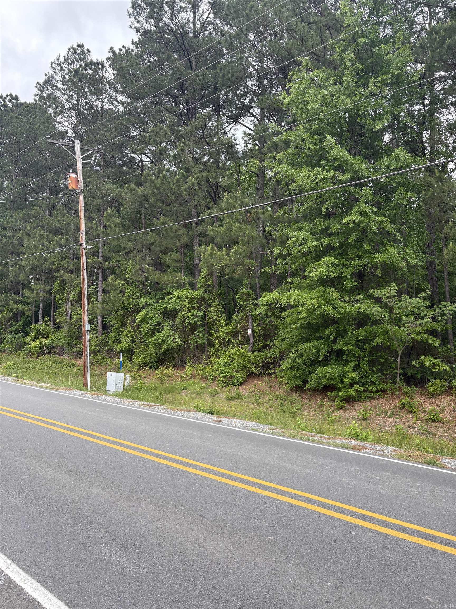 This beautiful property is ready to make your dreams come true. Raw land to shape into whatever you can think of. The pond in the back of the parcel can be your own personal oasis. Call for your own personal showing. *Agents See Remarks*