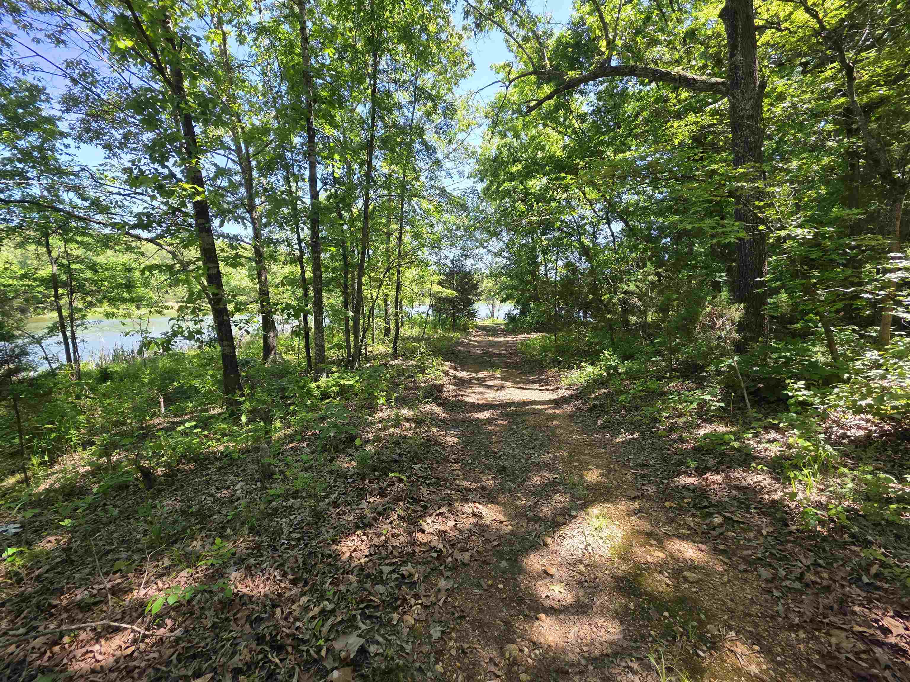 2.53 Acres located on White Horse Mountain Lake. This area has been Re-platted and now these 2 wonderfully wooded lots are available with county road frontage and 125' of Lake frontage. this is a very remote property. It is an undeveloped area with abundant wildlife and woods. There are some roads and trails that have been driven on over the years, but the county has not really maintained them due to this area not having any residents. This side of the lake has no homes or anything of that nature yet. Most or the roads and trails are traveled with 4-wheel drive vehicles and all-terrain vehicles. WHM lake is like a hidden little oasis, the woods are teaming with wildlife, the beautiful Spring River is less than a 1/2 mile away as the crow flies. If you want a place to go rough it for a while or if you want an off-grid home this could be the place for you.
