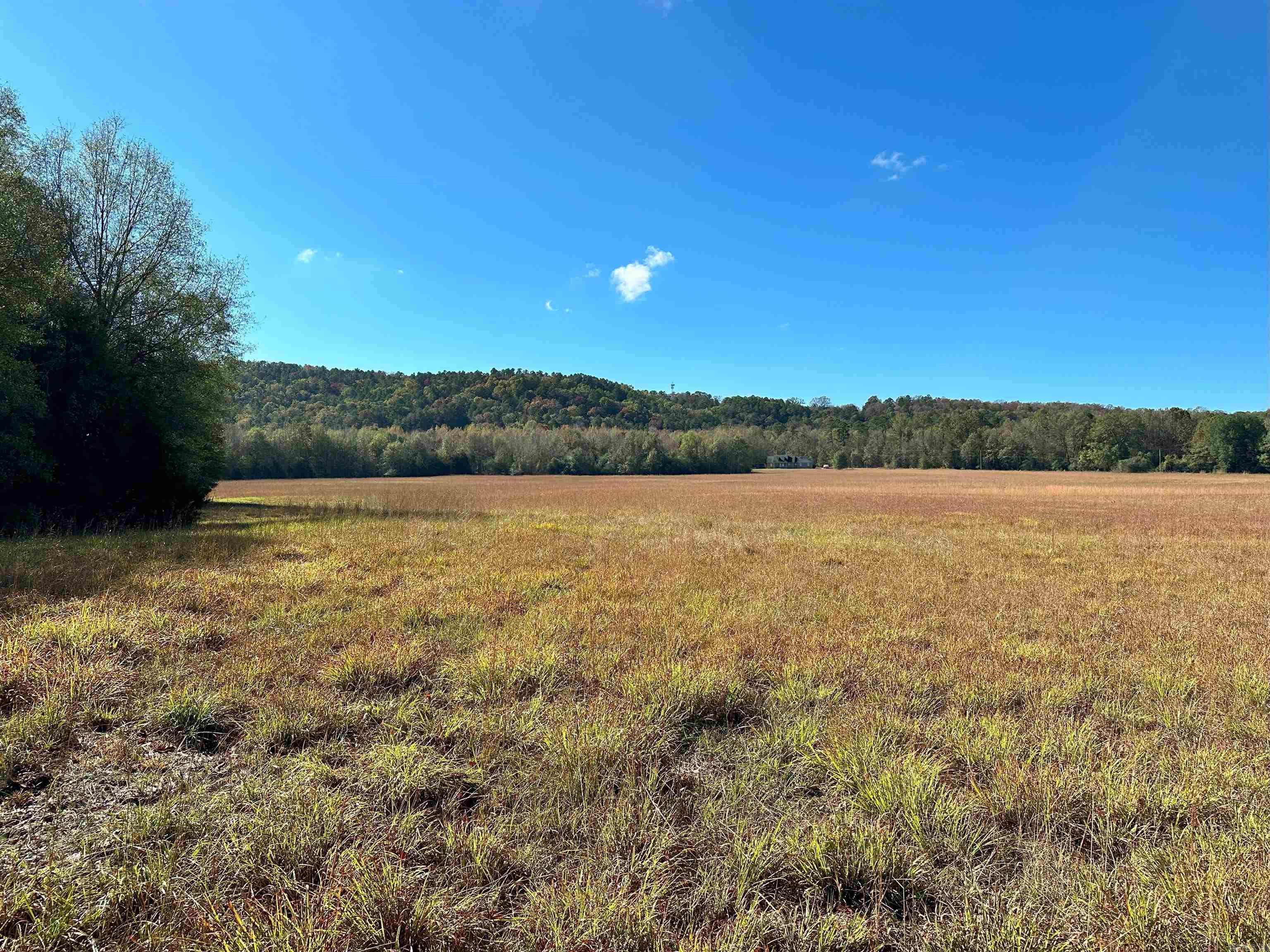 Discover the beauty and versatility of this 88.89-acre property tucked into the Foothills of the Ozarks, just below Linker Mountain. Situated on the edge of Dover city limits and only 8 miles north of Russellville on Highway 7, it offers an ideal blend of seclusion and convenience.  Approximately 30 acres of open pasture provide excellent opportunities for hay production or livestock, while nearly 60 acres of timberland make this a great spot for hunting, exploring, or other recreational activities. Linker Creek winds along the eastern boundary, enhancing the land’s natural appeal. Several prime building sites—complete with access to electricity and water—make it easy to envision your dream home, cabin, or weekend retreat.  The property boasts more than a quarter-mile of paved frontage on Peaceful Valley Road, plus an additional quarter-mile of private gravel road along the west side for easy access. An active shale pit on the southern portion of the land also offers potential income for the new owner. Mineral Rights do not convey.   This is a rare chance to own a remarkable piece of Arkansas countryside.  For a private showing, contact Marty Sikes at (501) 450-0963.