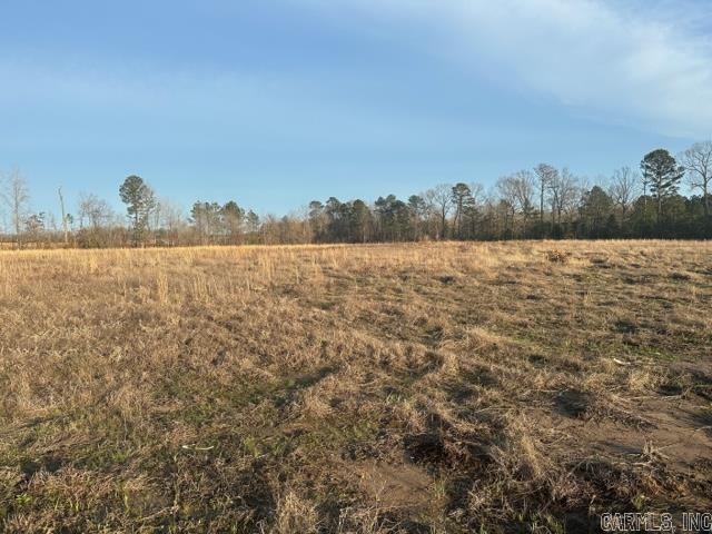 A beautiful tract of land, just waiting for your dreams to take root and come to life.