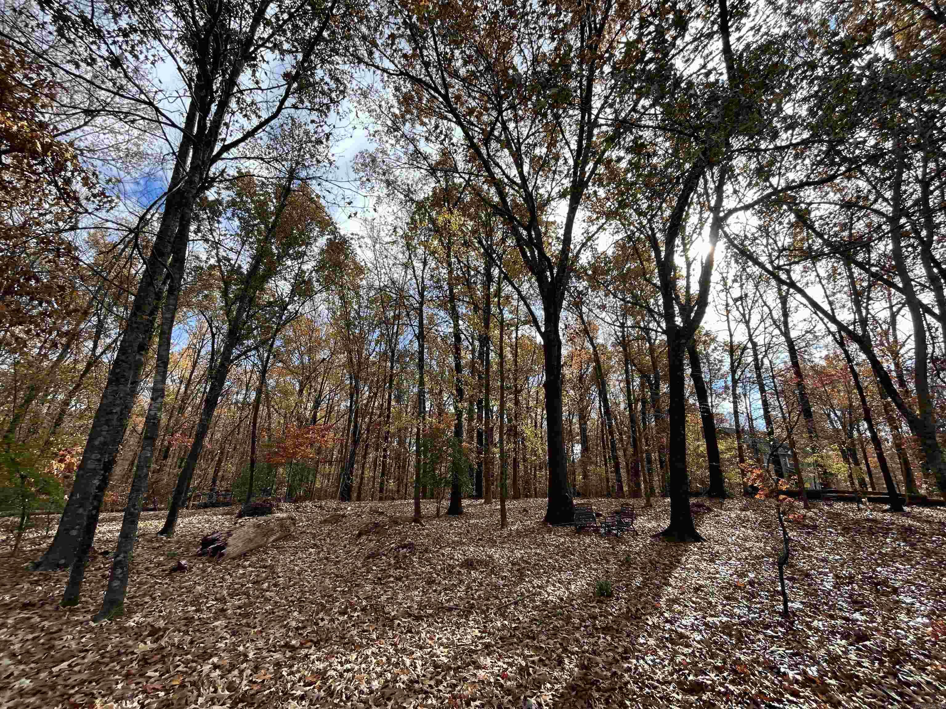 Considering building a home in rural St. Francis County while still being near town? Look no further! Less than a five-minute drive from Forrest city, you'll find this great lot located in the "Tall Trees" neighborhood which features 1.25+/- acres with nearby access to water, electric and fiber optic internet services.