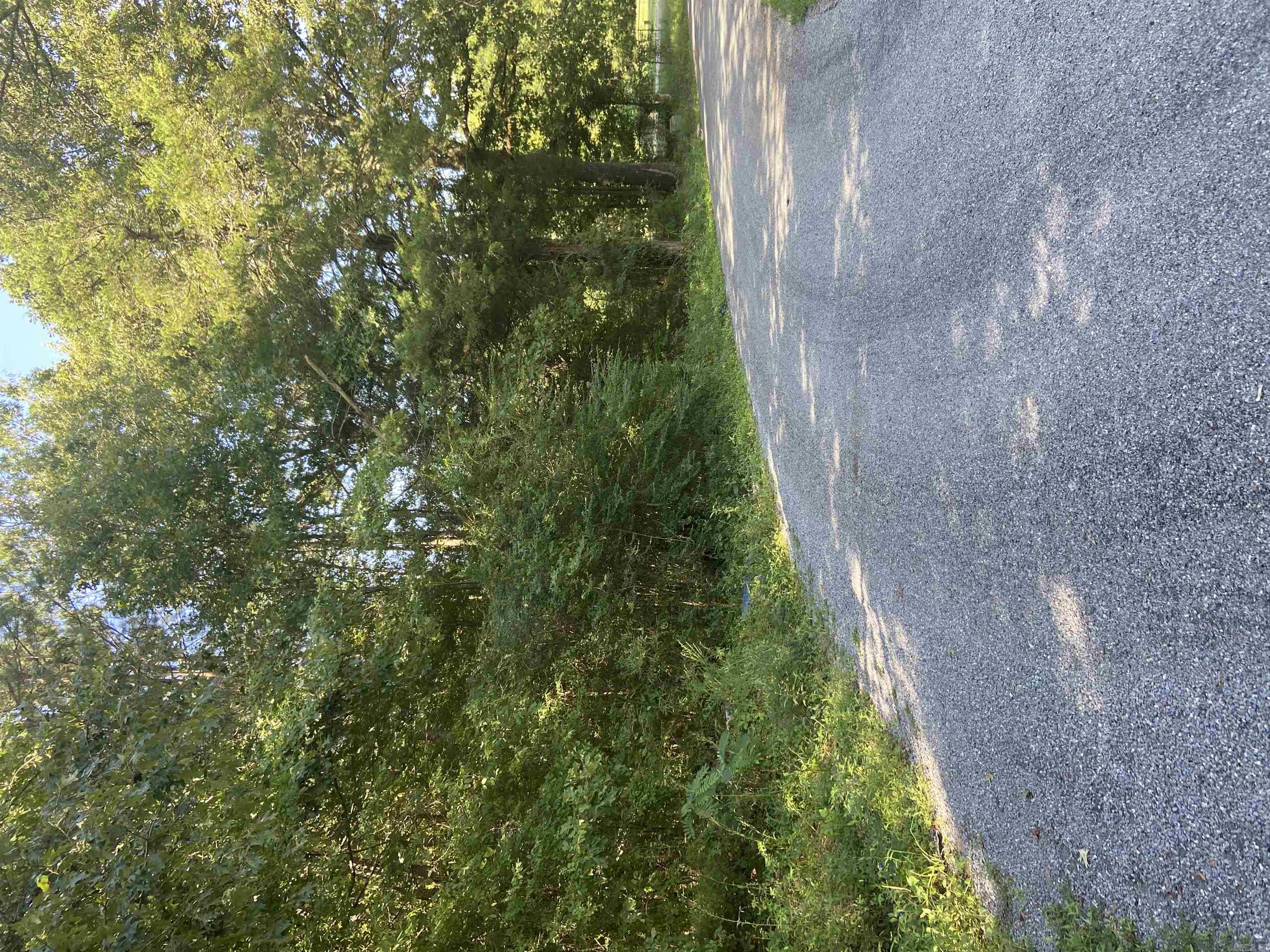 Nice size wooded lot in a quiet neighborhood. Area is within 30 minutes of Little Rock, or Pine Bluff areas. County Data shows Woodson Lateral as part of the address. But this property is located on Main St of Woodson.